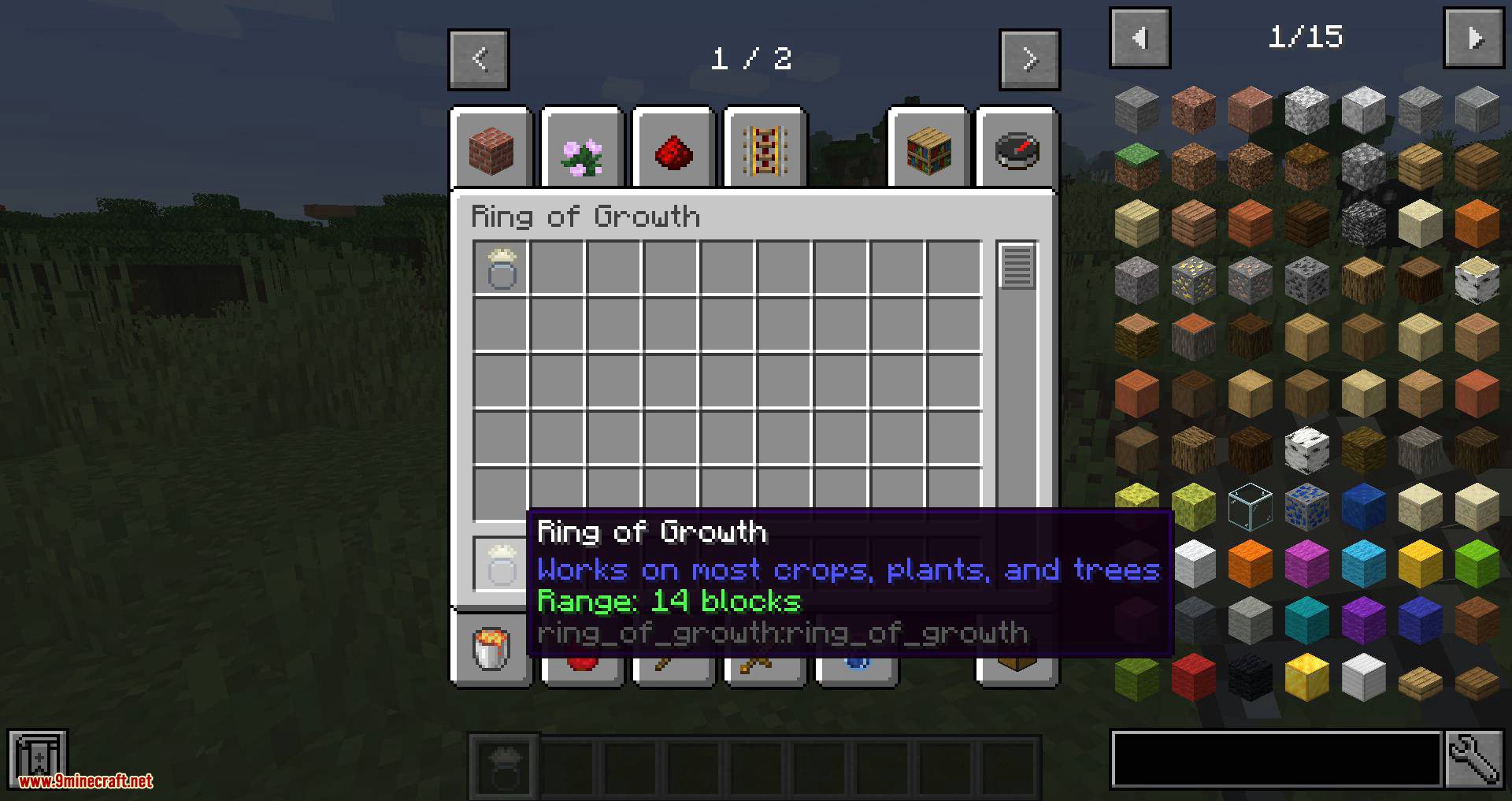 Ring of Growth Mod (1.20.4, 1.19.3) - Accelerates the Growth 3