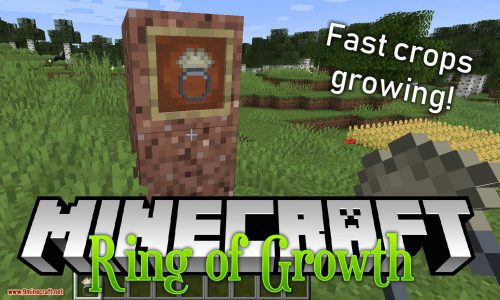 Ring of Growth Mod (1.21, 1.20.1) – Accelerates the Growth Thumbnail
