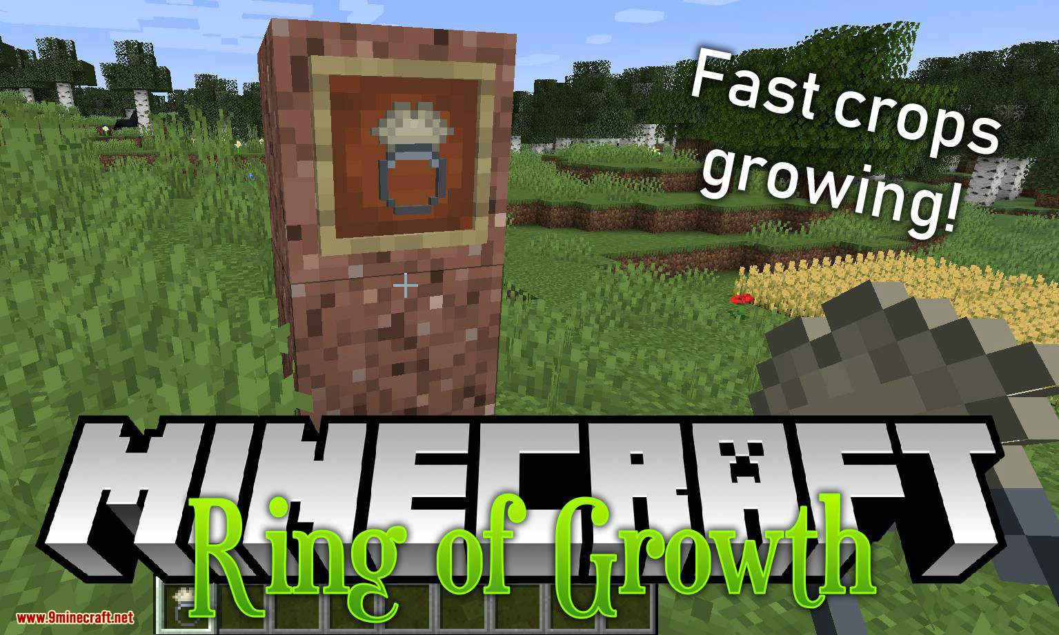 Ring of Growth Mod (1.20.4, 1.19.3) - Accelerates the Growth 1