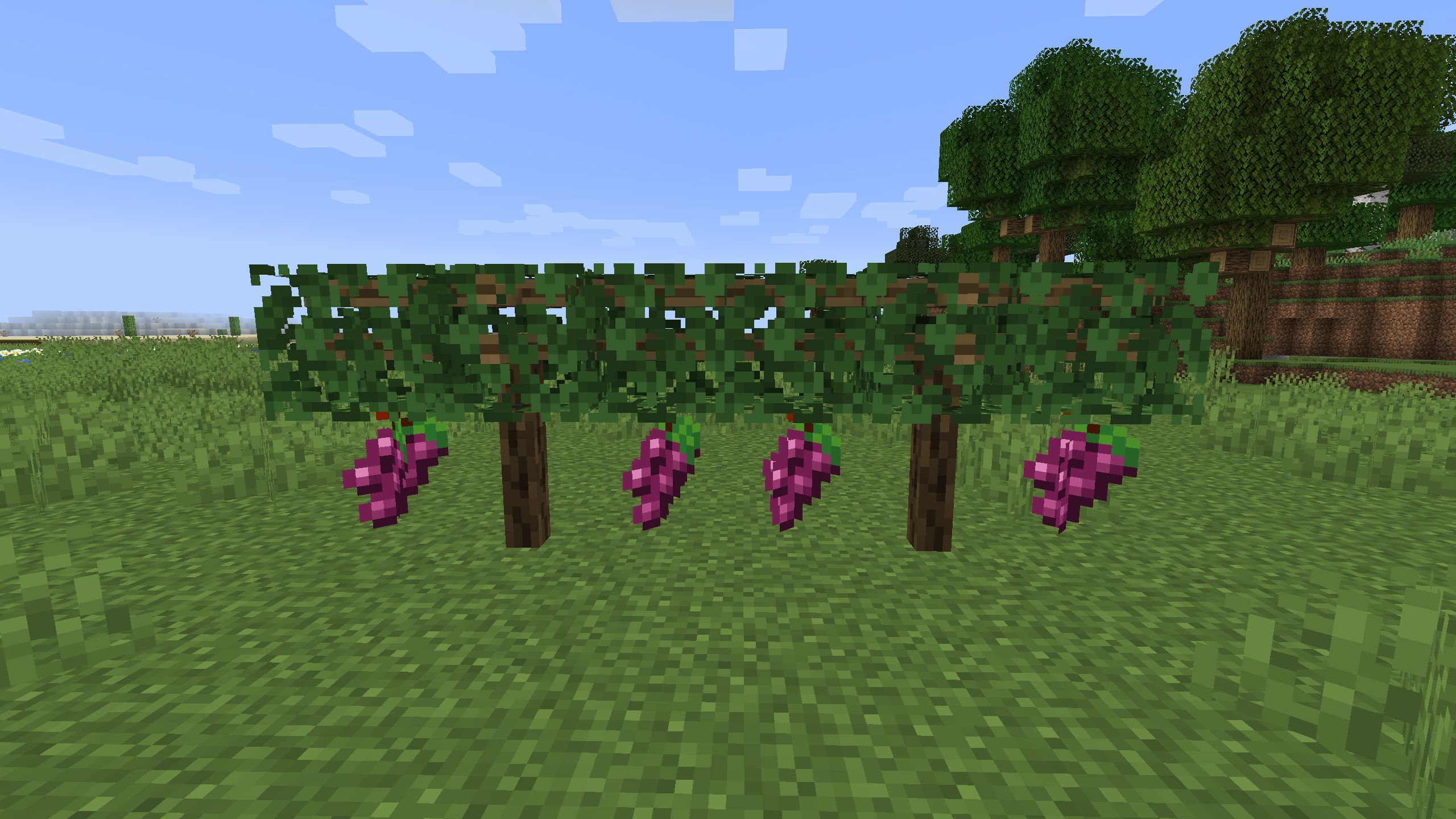 Simple Farming Mod (1.20.1, 1.19.4) - More Fruits, Vegetables, and Meals 4