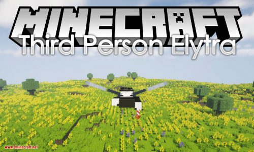 Third Person Elytra Mod 1.18.1, 1.17.1 (Forces Third Person While Using an Elytra) Thumbnail