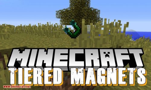 Tiered Magnets Mod 1.14.4, 1.12.2 (Make Retrieving Items Easier) Thumbnail