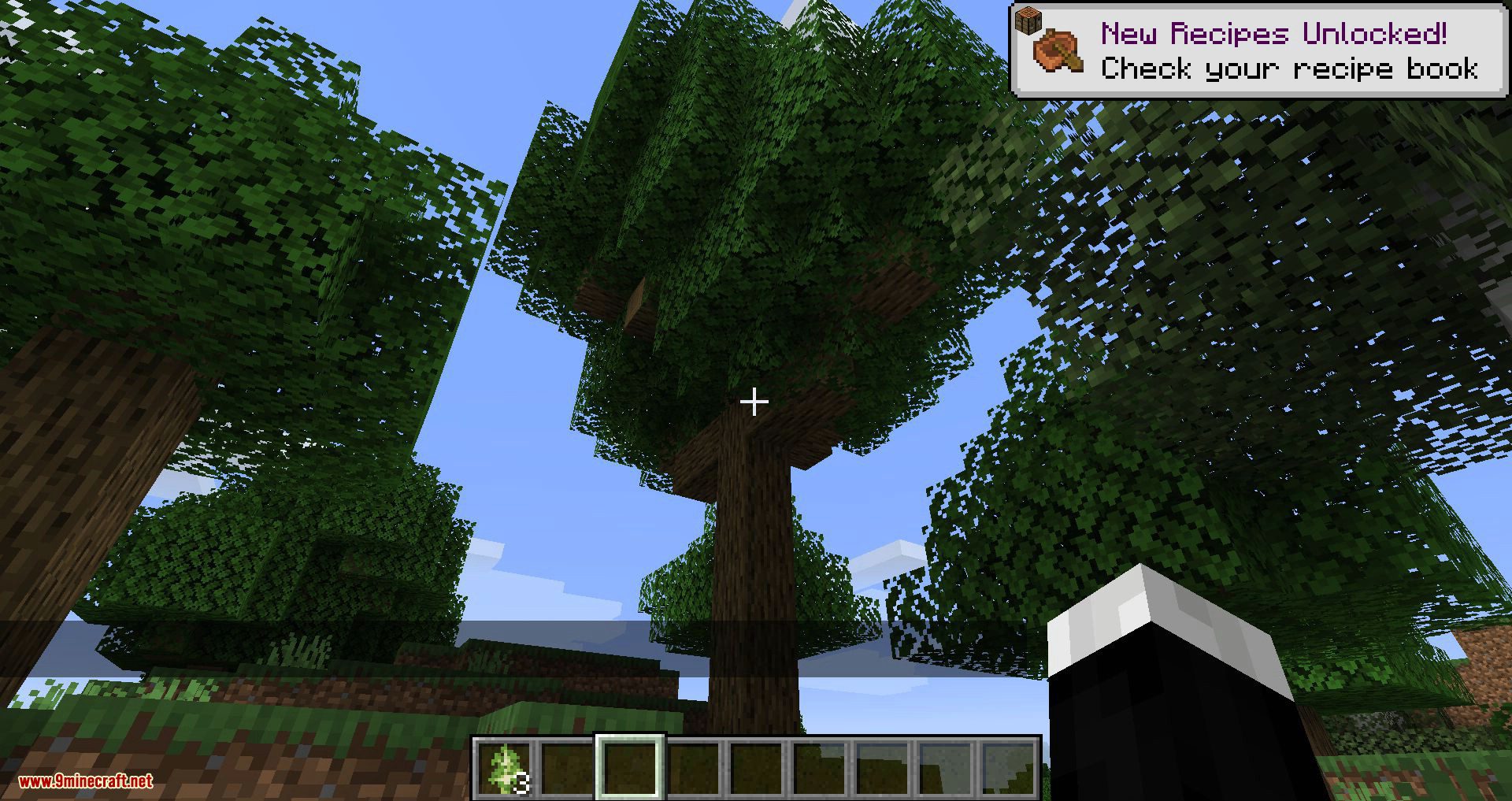 Trees Do Not Float Mod (1.19.3, 1.18.2) - Make Minecraft Logic Again 9