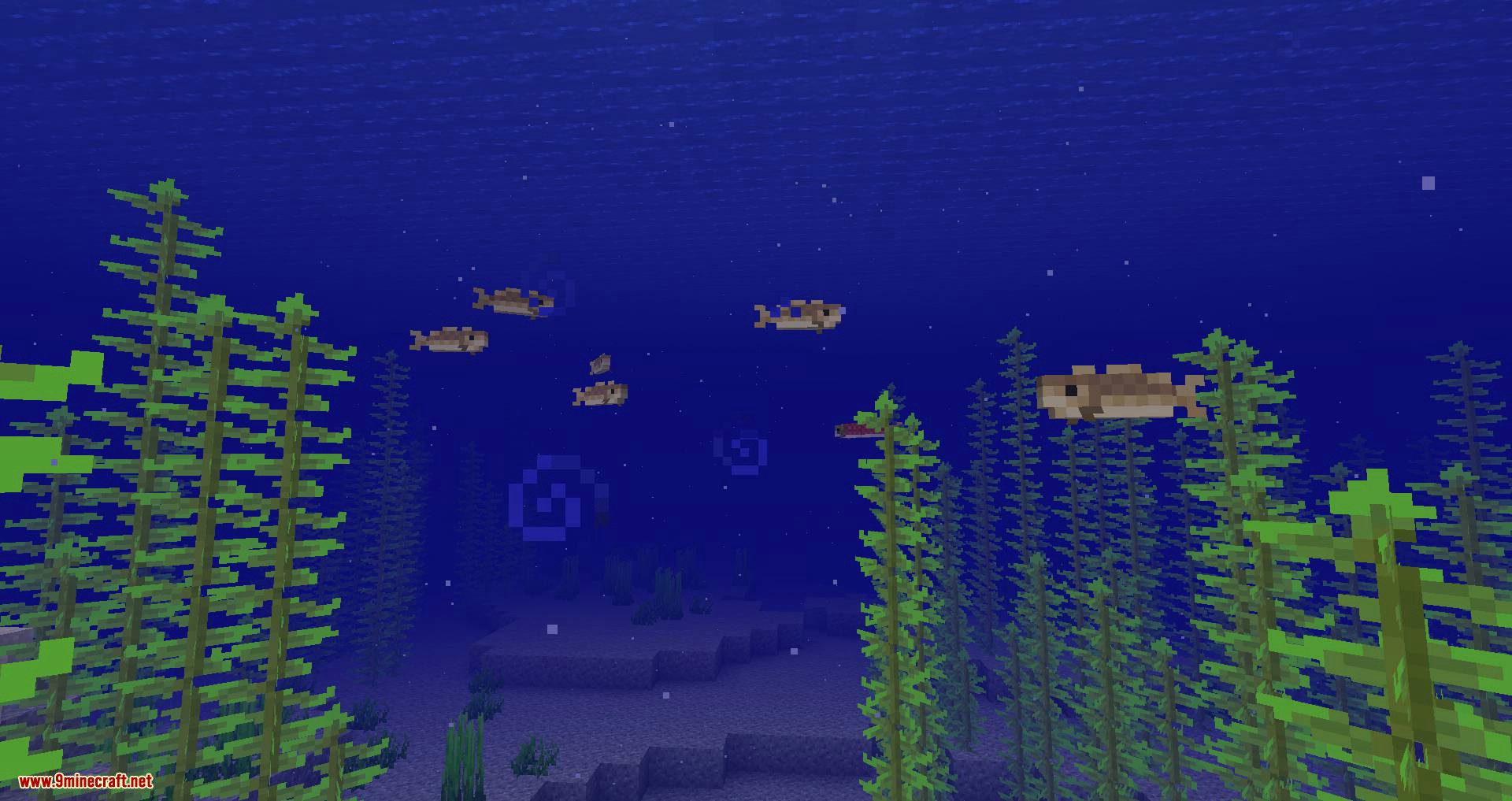 Upgrade Aquatic Mod (1.19.2, 1.18.2) - New Fish, Sea Monsters and More 16