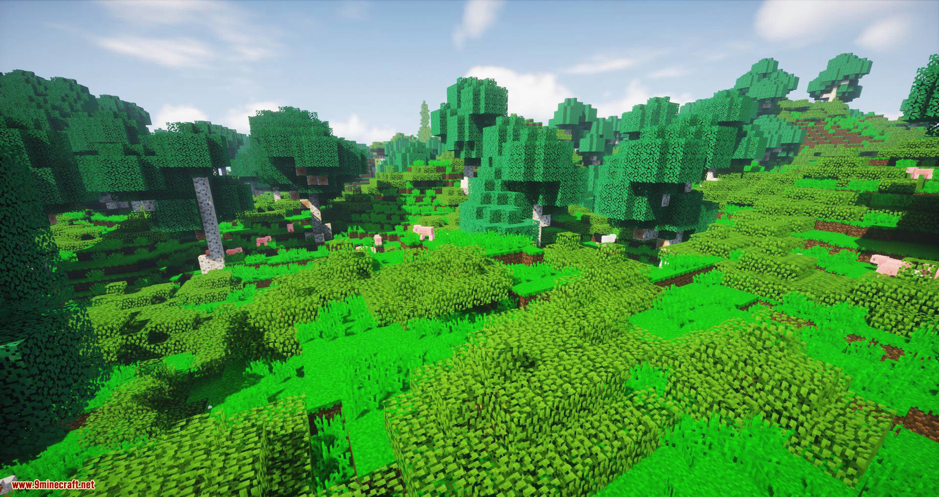 Wild Nature Mod (1.18.2, 1.15.2) - Improve Entirely Minecraft Nature 30