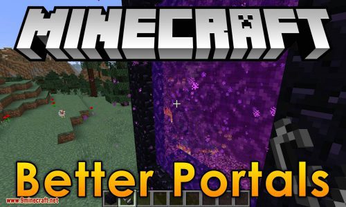 Better Portals Mod 1.12.2 (See Through Portals Usable) Thumbnail