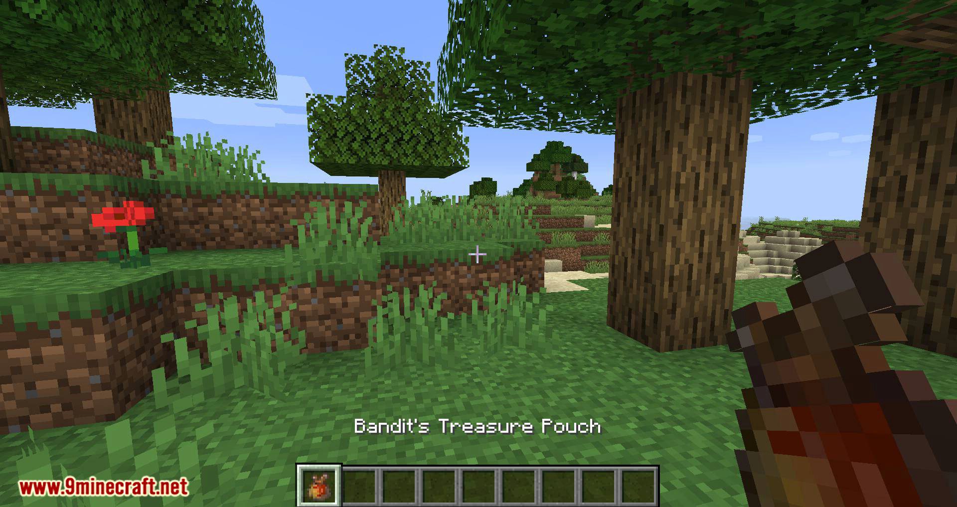 Bird Nests and Treasures Mod (1.16.5, 1.15.2) - Random Collectable Treasure 7