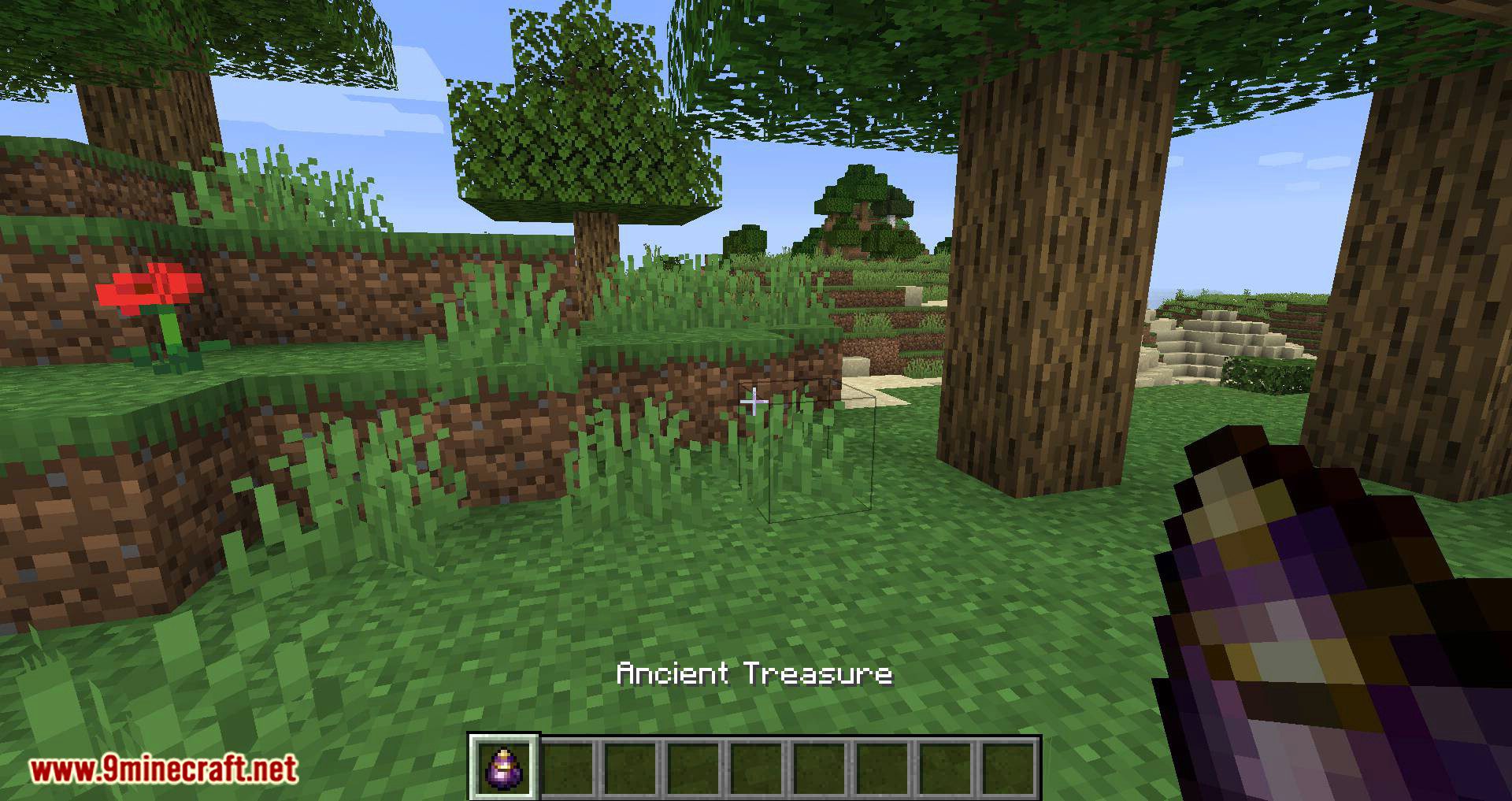 Bird Nests and Treasures Mod (1.16.5, 1.15.2) - Random Collectable Treasure 9