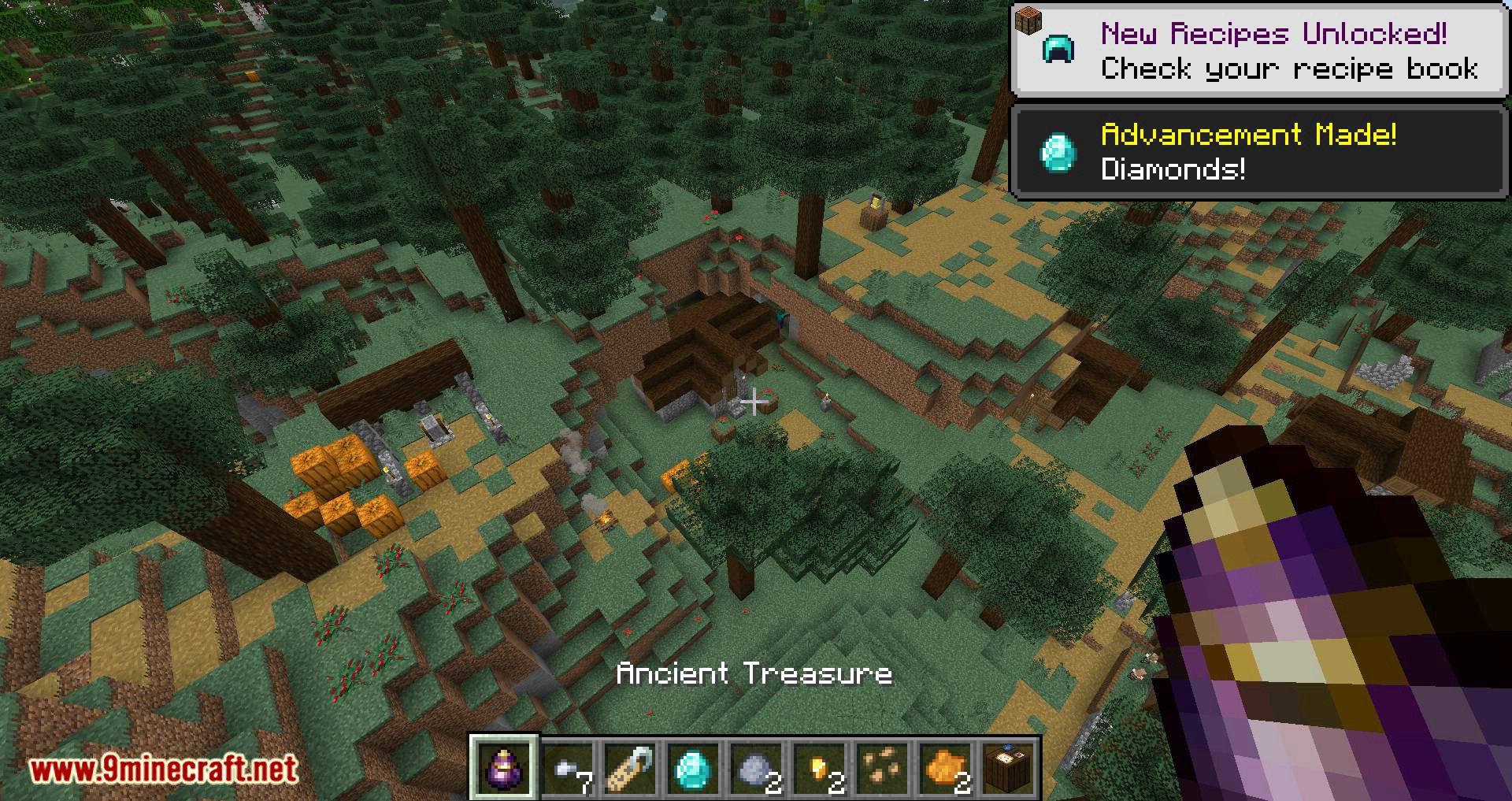 Bird Nests and Treasures Mod (1.16.5, 1.15.2) - Random Collectable Treasure 16