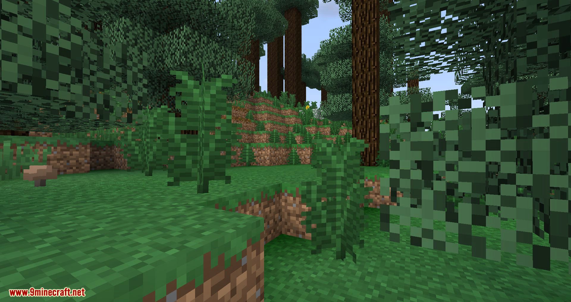 Builder's Quality of Life Shaders Mod (1.20.2, 1.19.4) - Very Good on Framerate 14
