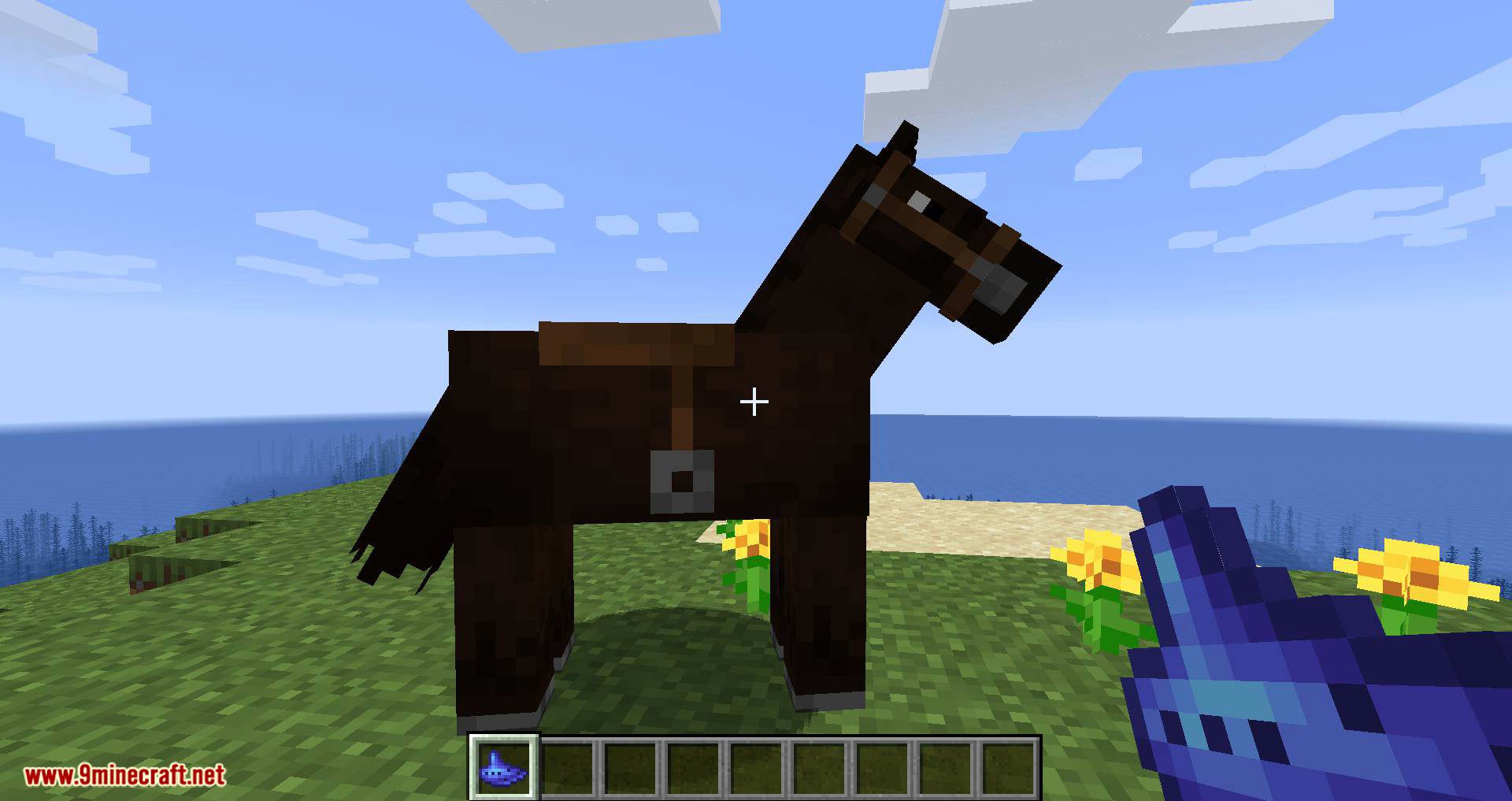 Dude! Where's My Horse? Mod 1.16.5, 1.15.2 (A Lightweight Horse-Finding Mod) 6