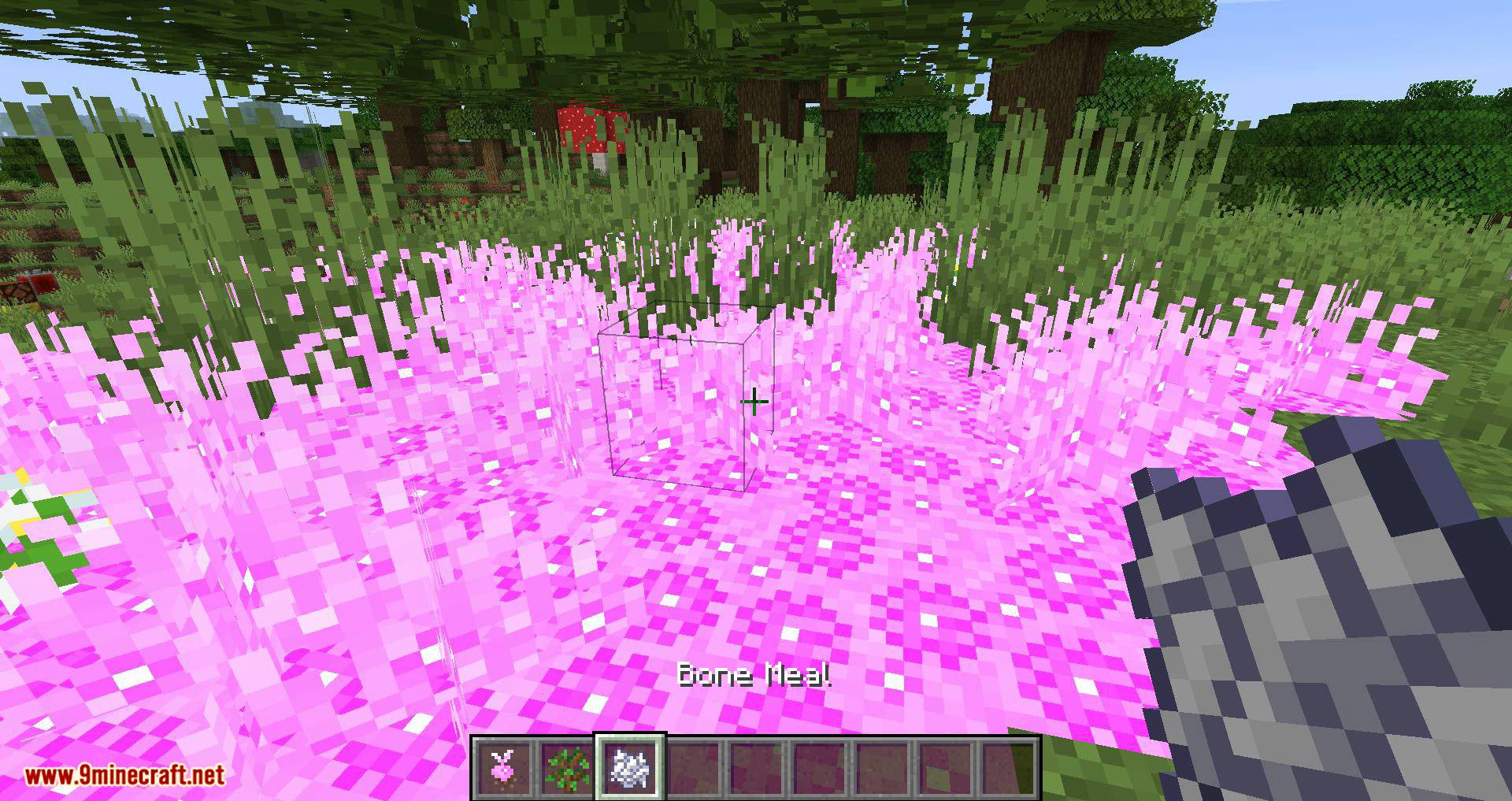 GrassWorld Mod 1.14.4, 1.12.2 (Adds Seeds that Make Colorful Grass) 10