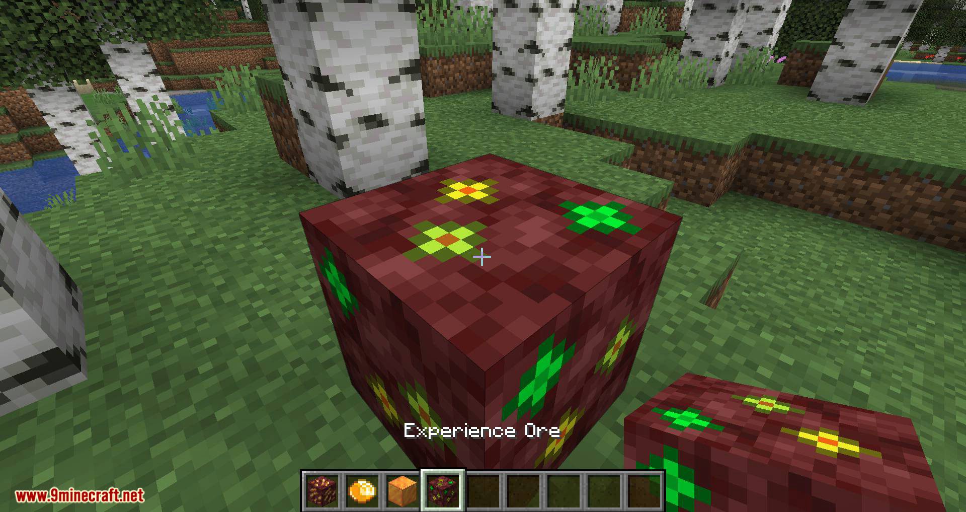 More Ores In ONE Mod (1.19.2, 1.18.2) - Ores in the Overworld, Nether, and End 12