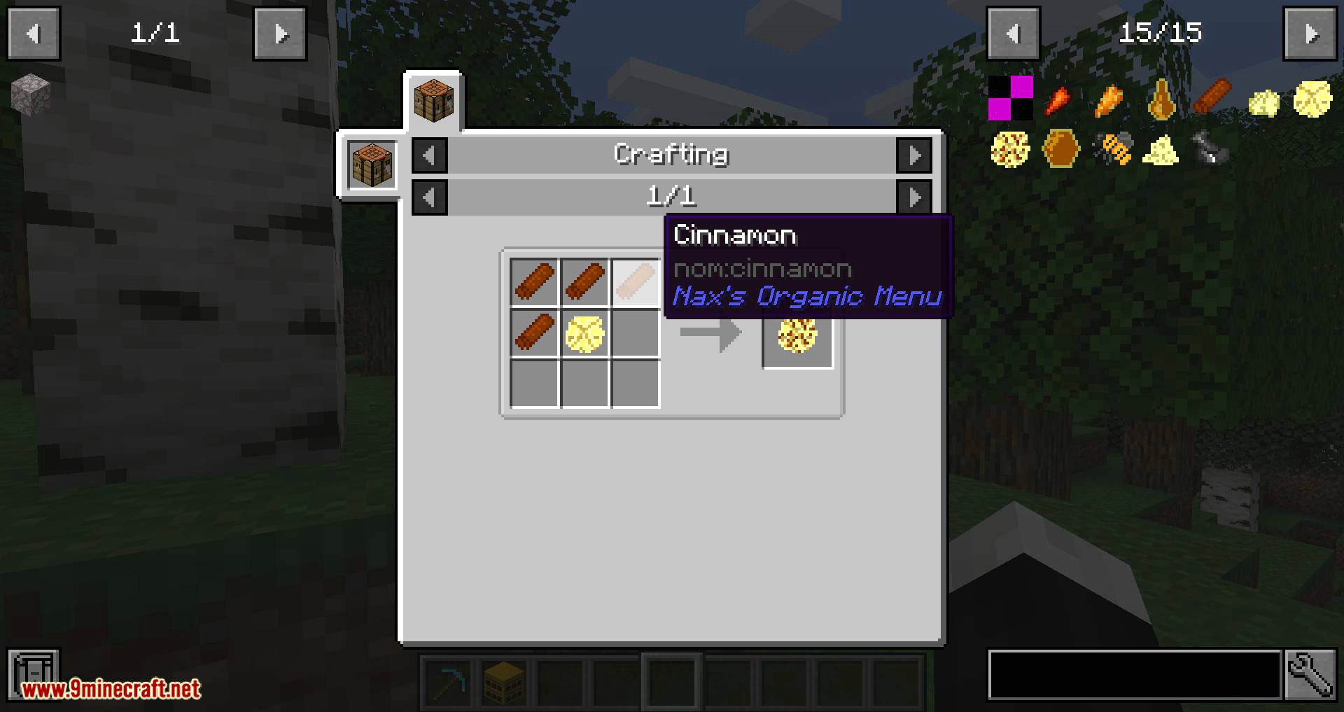 NaxsOrganicMenu Mod 1.14.4 (Adds Many Foods and Plants) 8