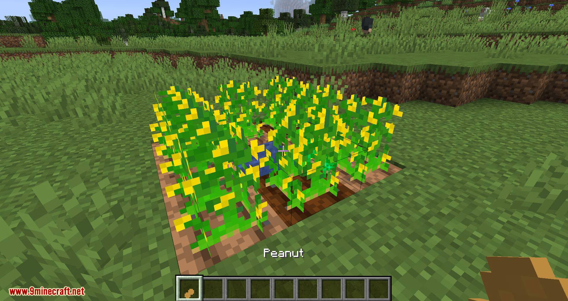 Peanuts Mod 1.16.5, 1.15.2 (Be a Peanut Farmer?) 4