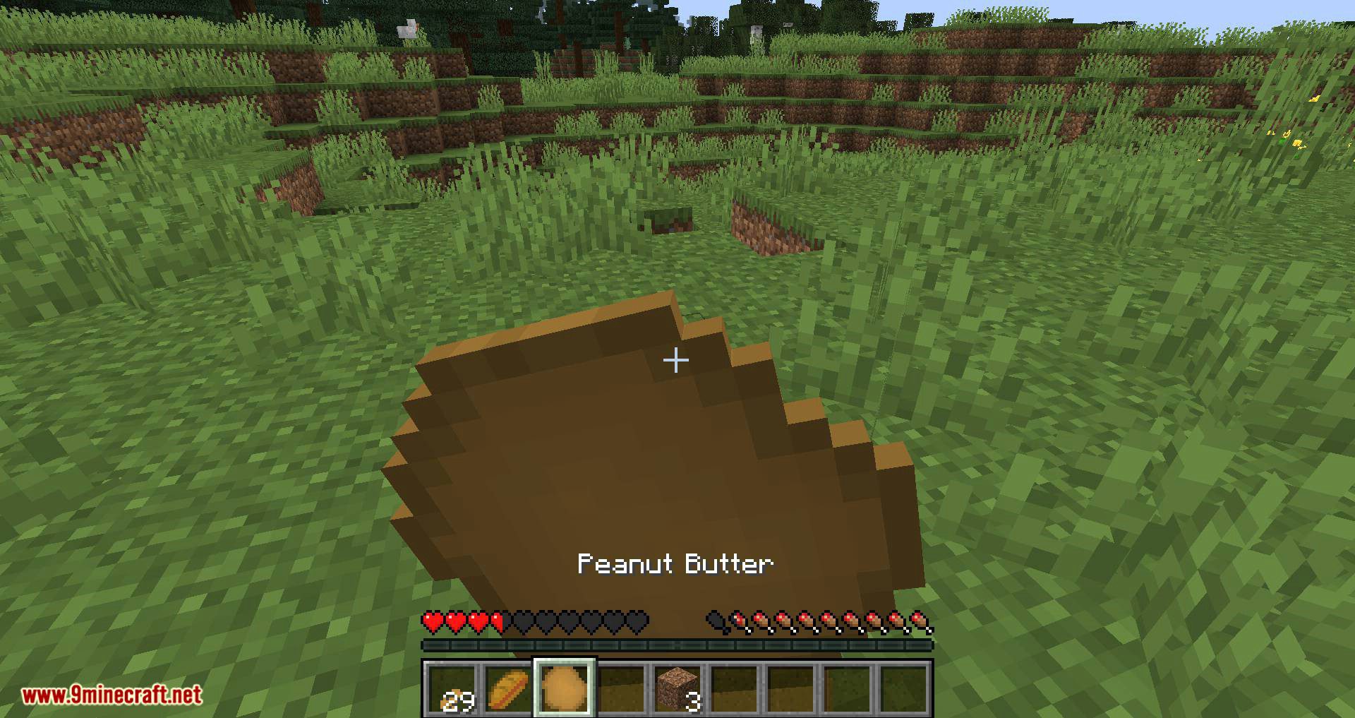 Peanuts Mod 1.16.5, 1.15.2 (Be a Peanut Farmer?) 10