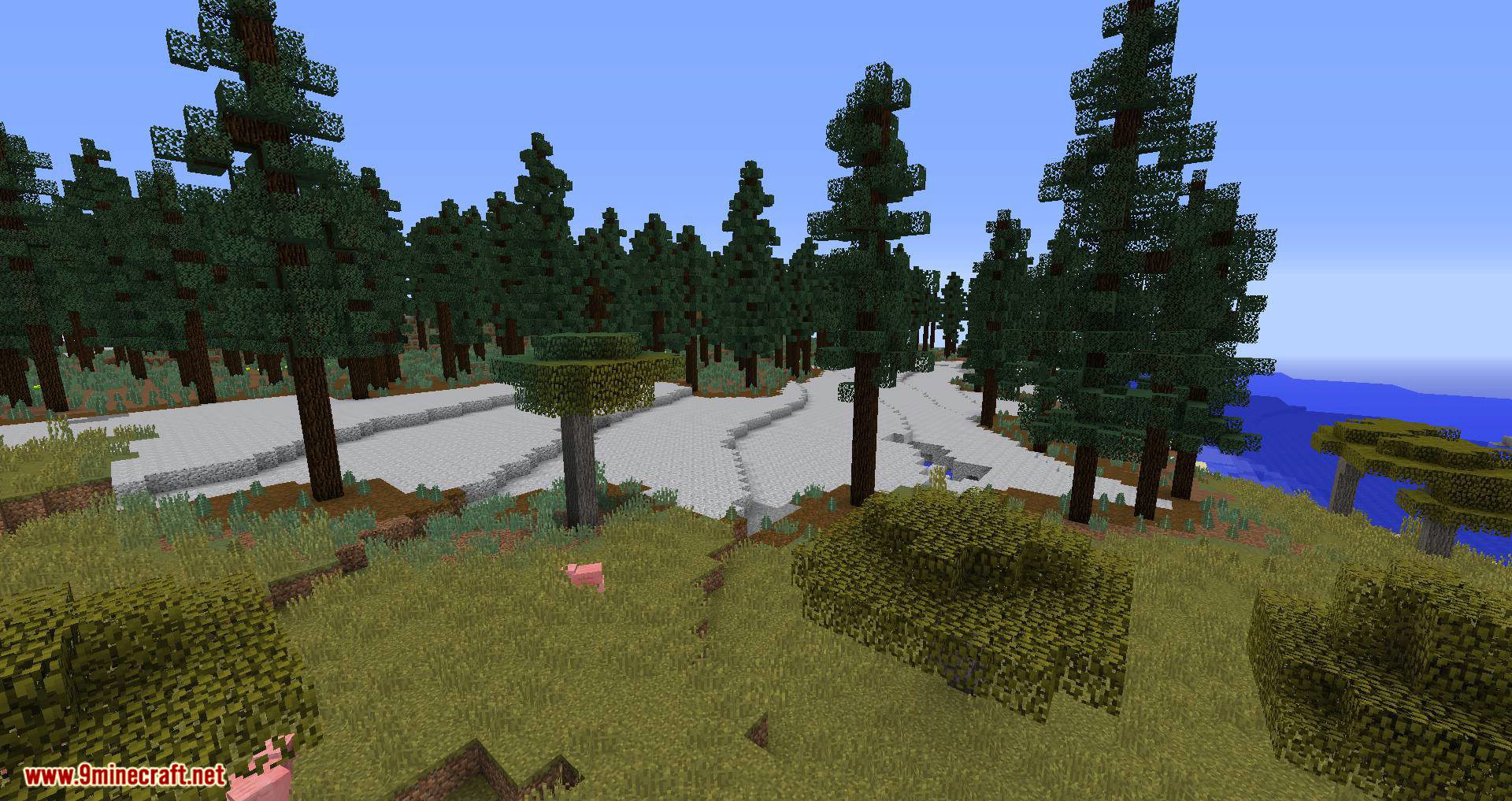 Vanilla Vistas Mod 1.16.5, 1.12.2 (Overhauls Terrain Generation and Biome Placement) 5