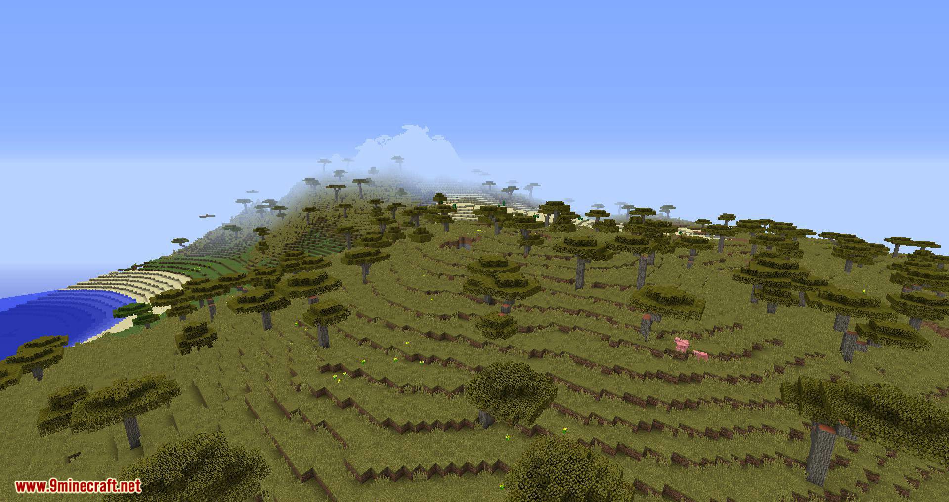 Vanilla Vistas Mod 1.16.5, 1.12.2 (Overhauls Terrain Generation and Biome Placement) 7