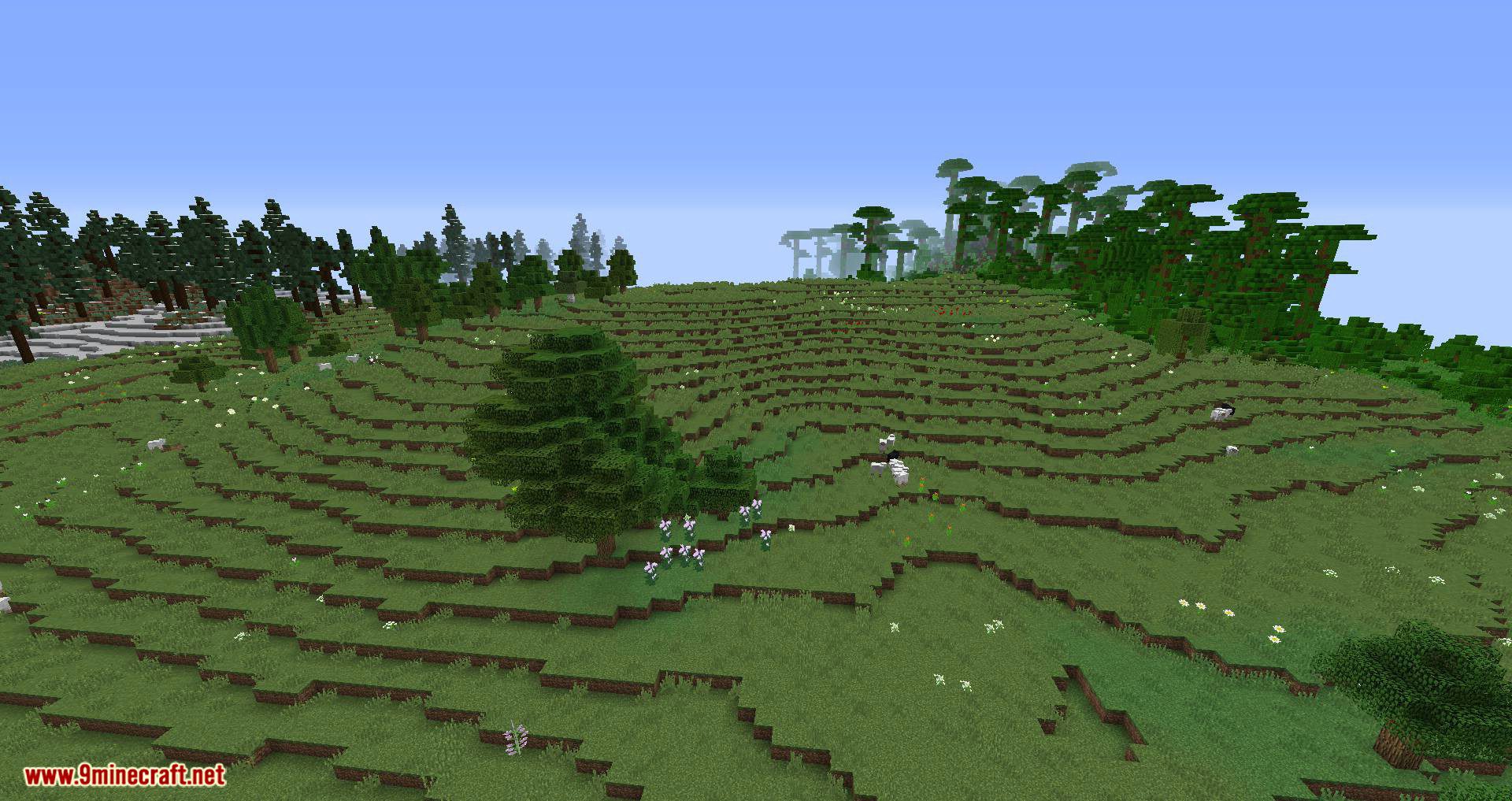 Vanilla Vistas Mod 1.16.5, 1.12.2 (Overhauls Terrain Generation and Biome Placement) 12