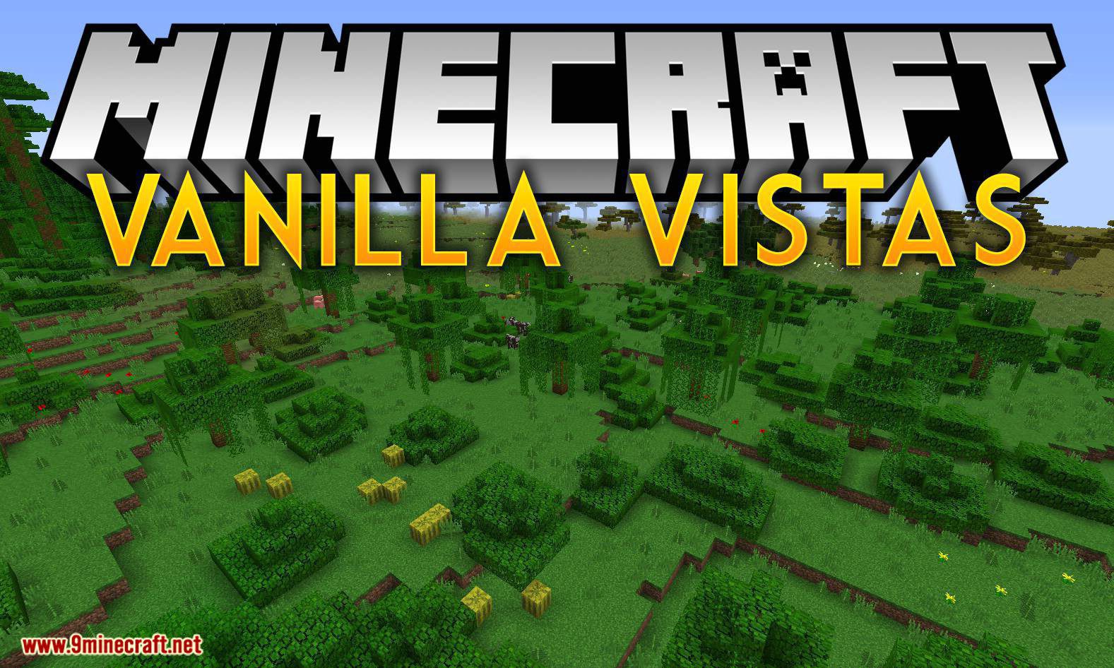 Vanilla Vistas Mod 1.16.5, 1.12.2 (Overhauls Terrain Generation and Biome Placement) 1