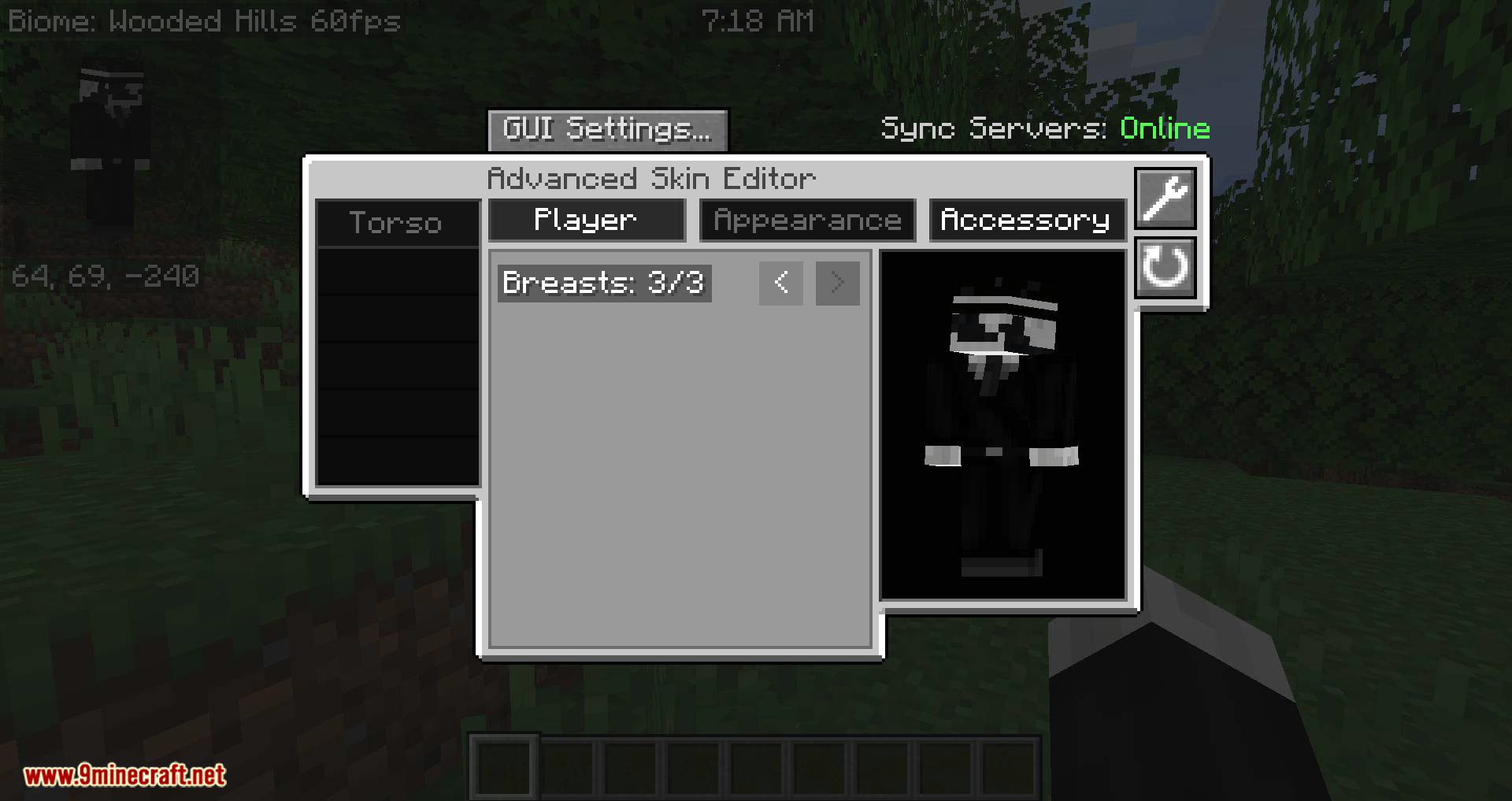 Advanced Skin Customization Mod 1.15.2, 1.14.4 (Skin Cosmetics, Realistic First Person & More) 3