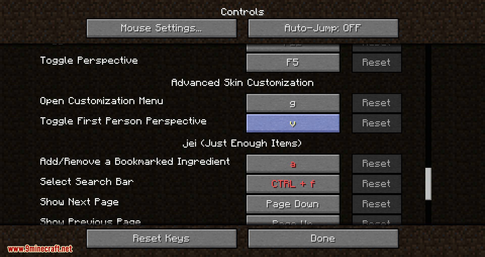 Advanced Skin Customization Mod 1.15.2, 1.14.4 (Skin Cosmetics, Realistic First Person & More) 9