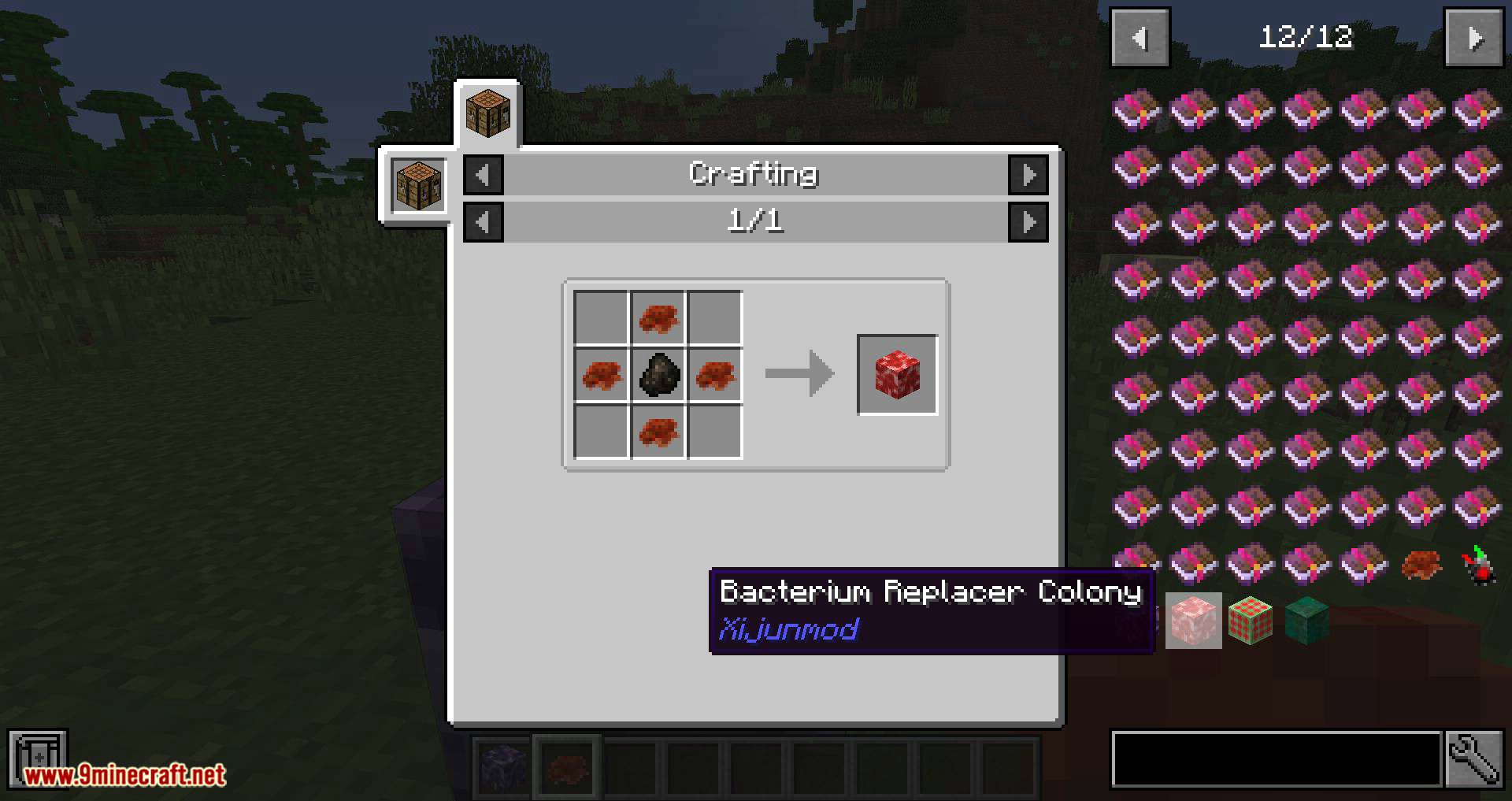 Huanmeng's Bacteria Mod 1.12.2, 1.11.2 (Bacteria that Wipes Out the World) 5