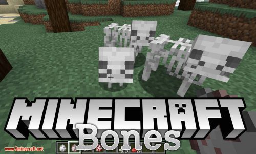 Bones Mod 1.16.5, 1.15.2 (Bunch of New Skeletal Mobs) Thumbnail