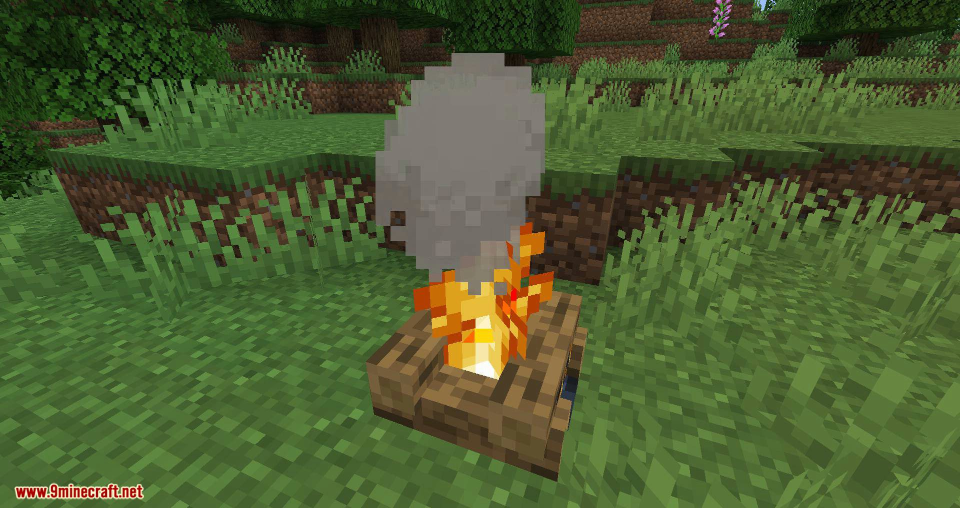 Campfire Incense Mod 1.14.4 (Throw Your Potion Ingredient in the Fire) 3