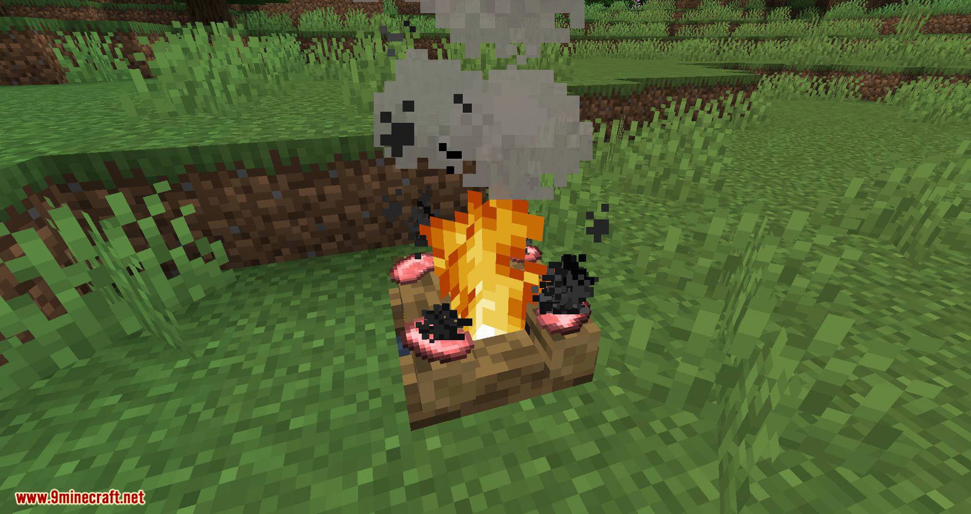 Campfire Incense Mod 1.14.4 (Throw Your Potion Ingredient in the Fire) 4