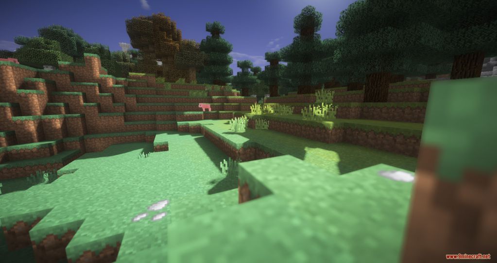 Can Resource Pack 1.14.4, 1.13.2 - Texture Pack 3