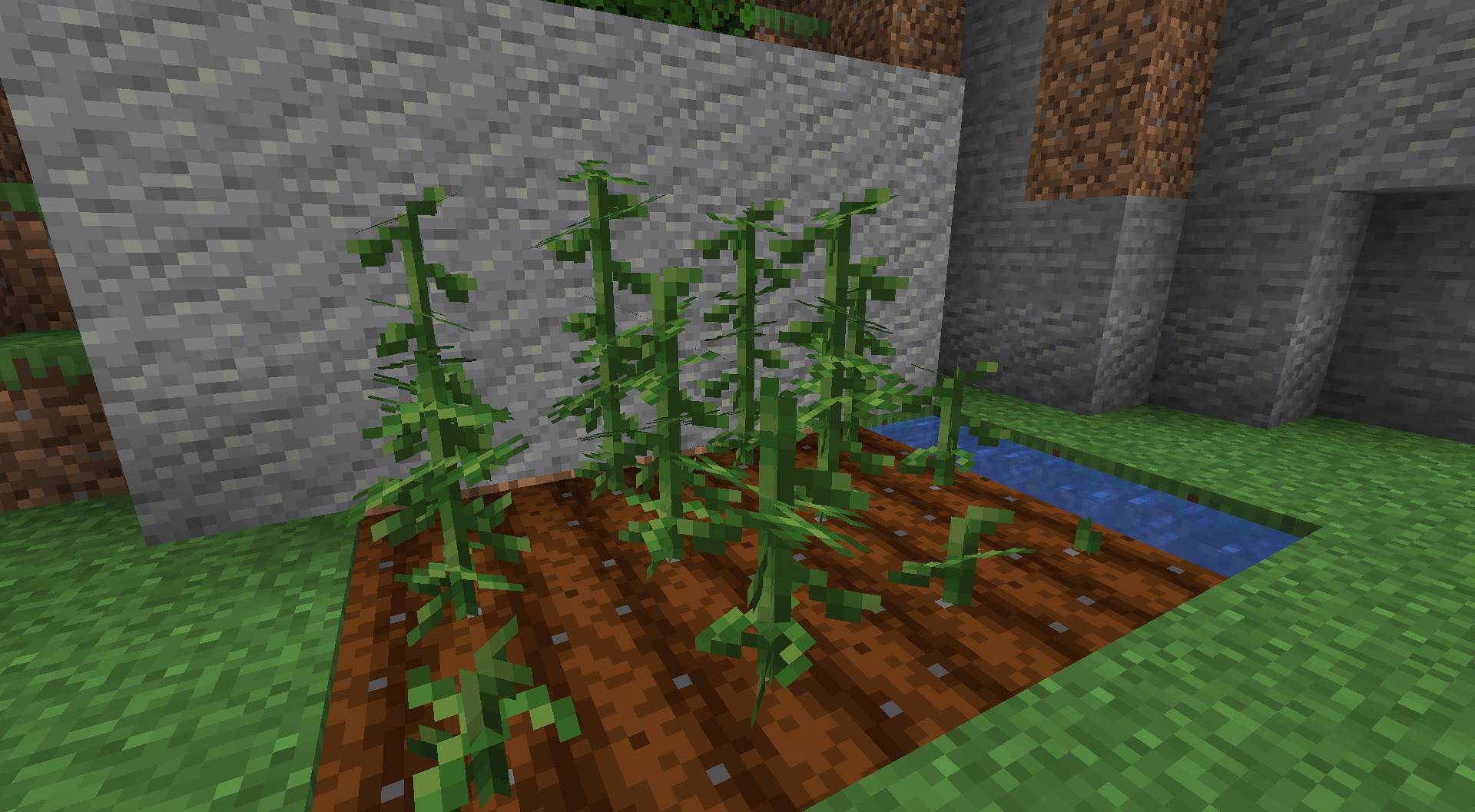 Druidcraft Mod (1.18.2, 1.16.5) - Ever Wanted to Explore Druidry? 4