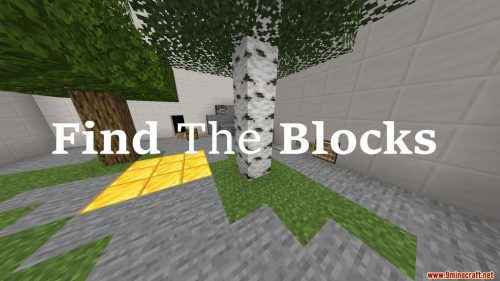 Find The Blocks Map 1.14.4 for Minecraft Thumbnail