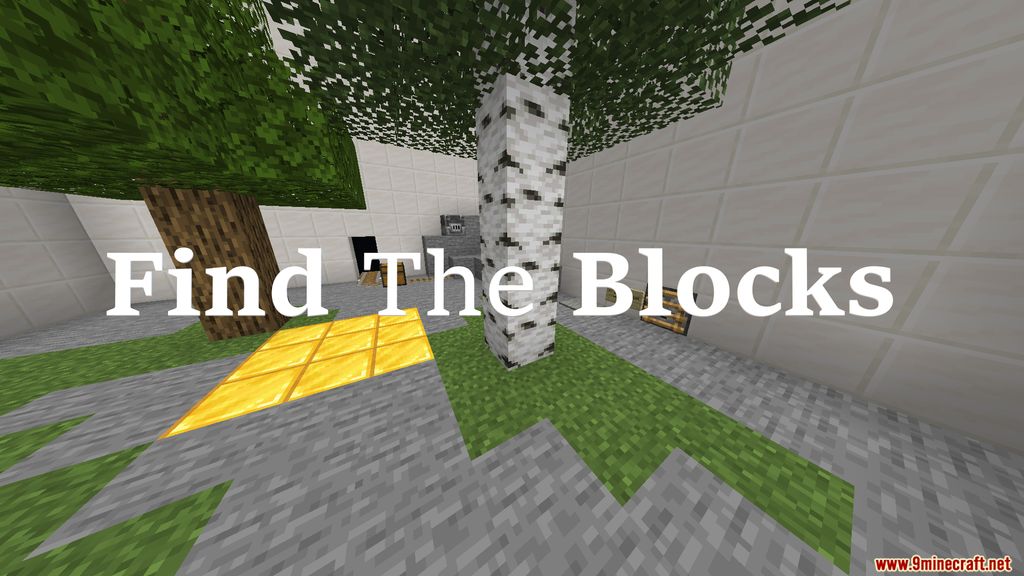 Find The Blocks Map 1.14.4 for Minecraft 1