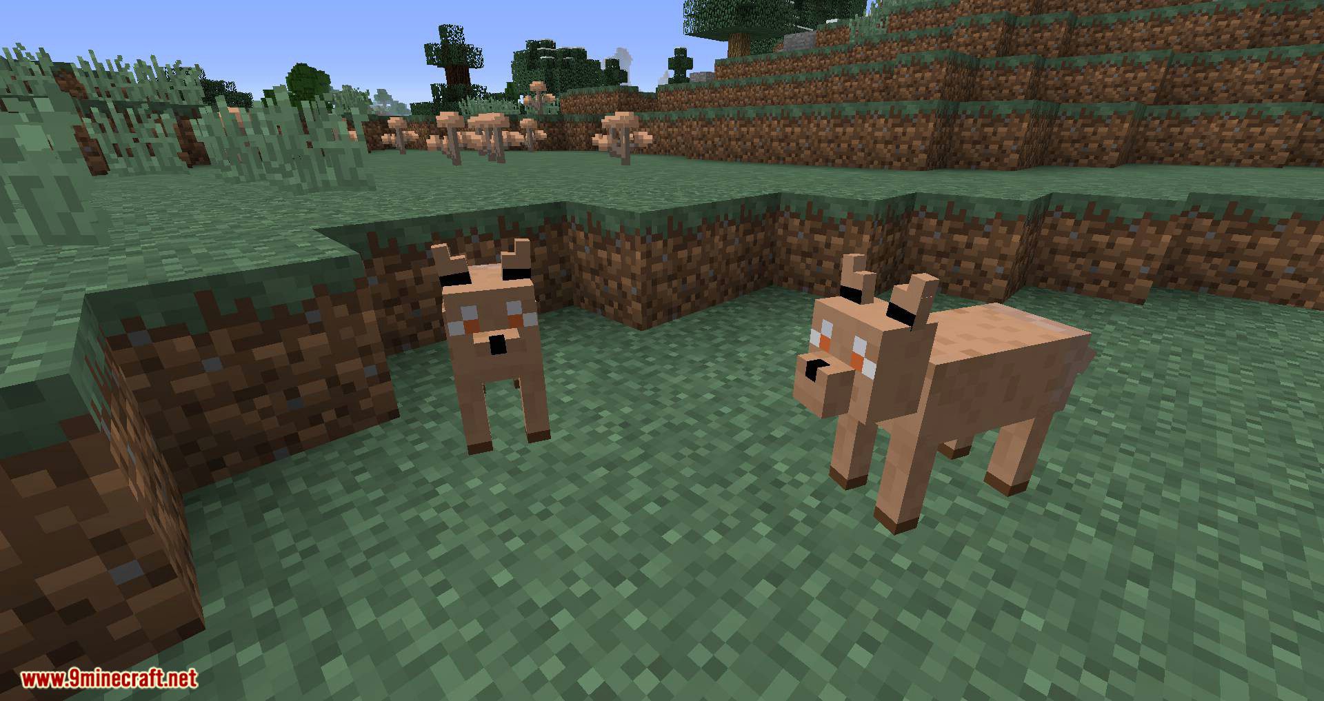 Modern Nature Mod 1.12.2 (Adds Many New Modern Animals) 9