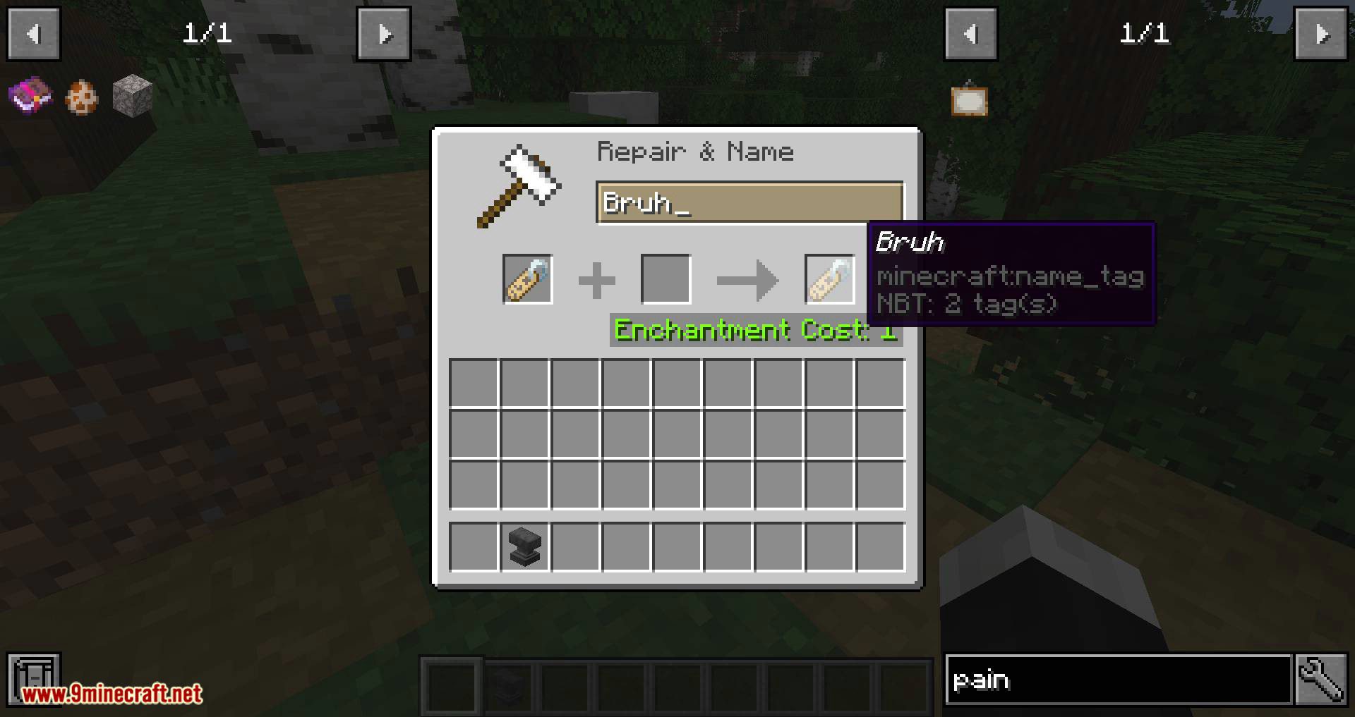 Nametags Without Anvils Mod 1.15.1, 1.14.4 (Rename a Nametag with Only a Feather) 2