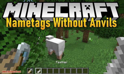 Nametags Without Anvils Mod 1.15.1, 1.14.4 (Rename a Nametag with Only a Feather) Thumbnail