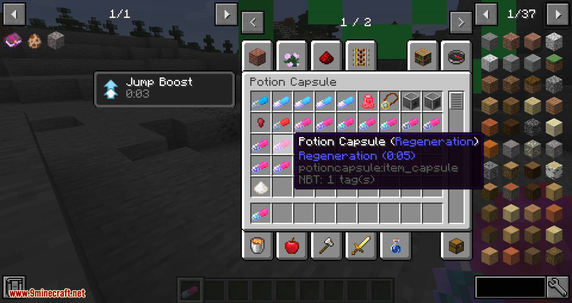 Potion Capsule Mod 1.14.4 (Split the Potion and Store it Inside the Capsules) 35