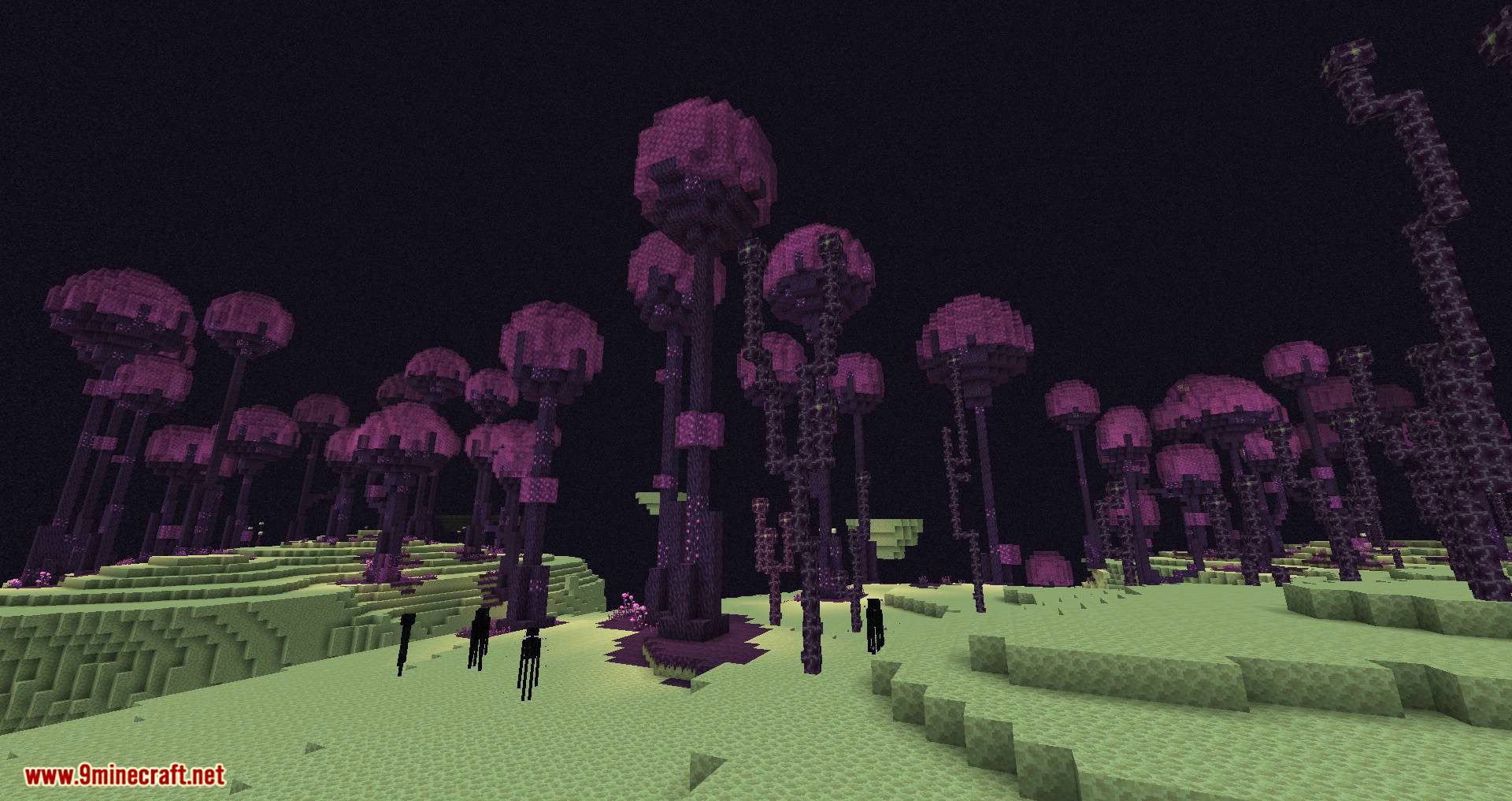 The Endergetic Expansion Mod (1.19.2, 1.16.5) - The End Forest 5