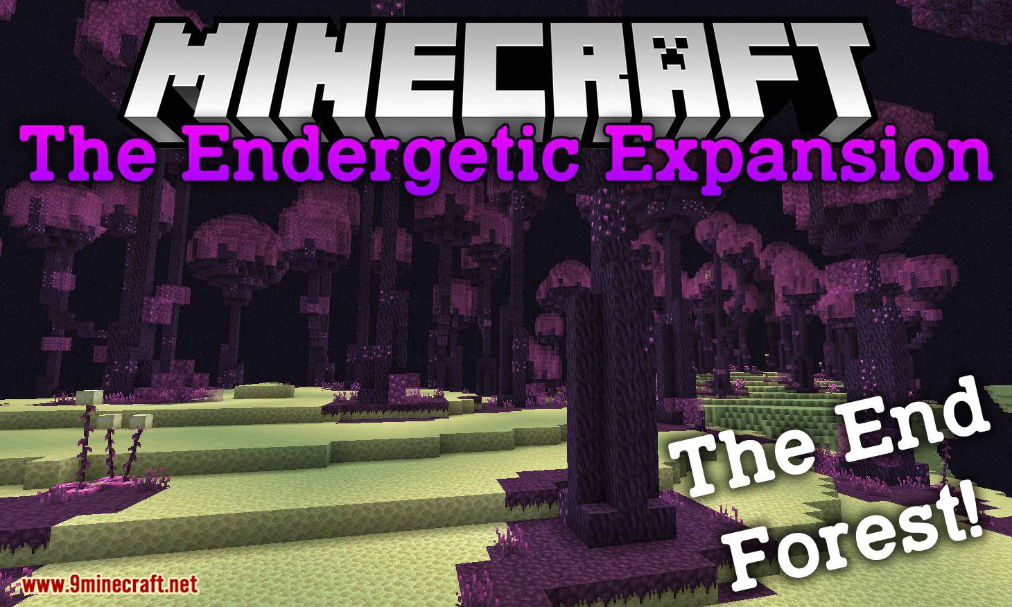 The Endergetic Expansion Mod (1.19.2, 1.16.5) - The End Forest 1