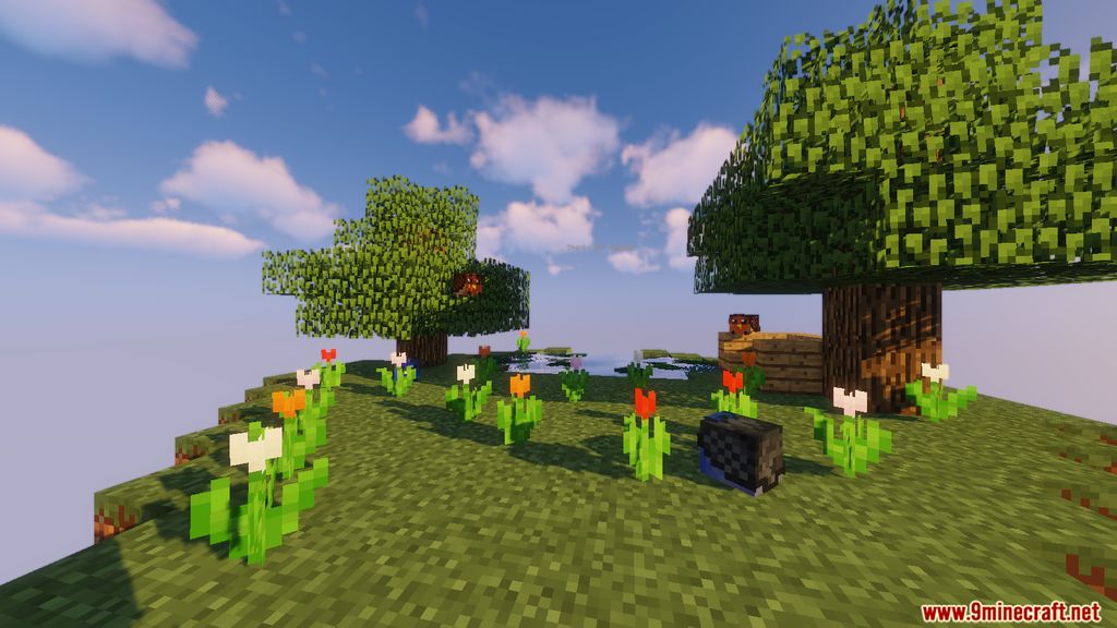 B Jumps Map 1.12.2 for Minecraft 15