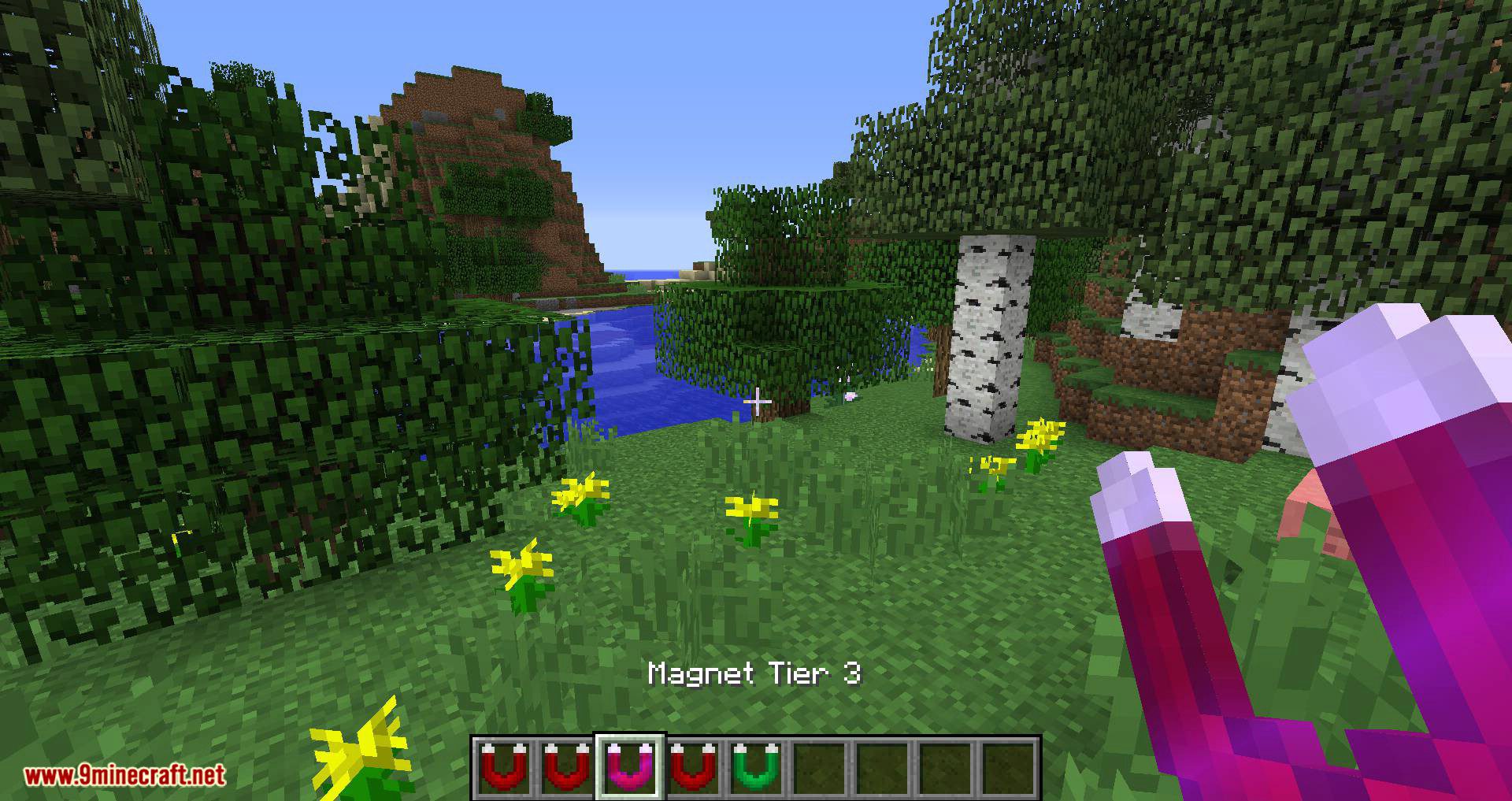 Better Magnets Mod 1.12.2, 1.11.2 (Adds Magnets that Can Enable/Disable) 3