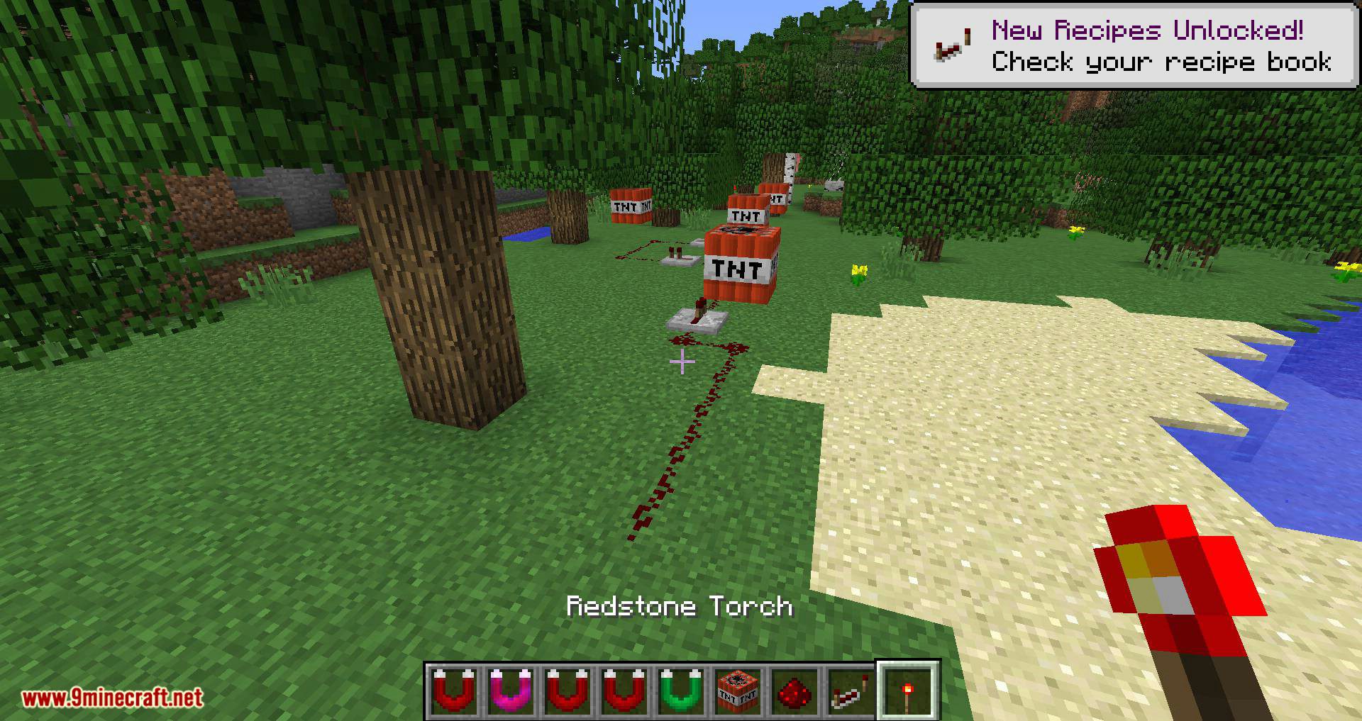 Better Magnets Mod 1.12.2, 1.11.2 (Adds Magnets that Can Enable/Disable) 4