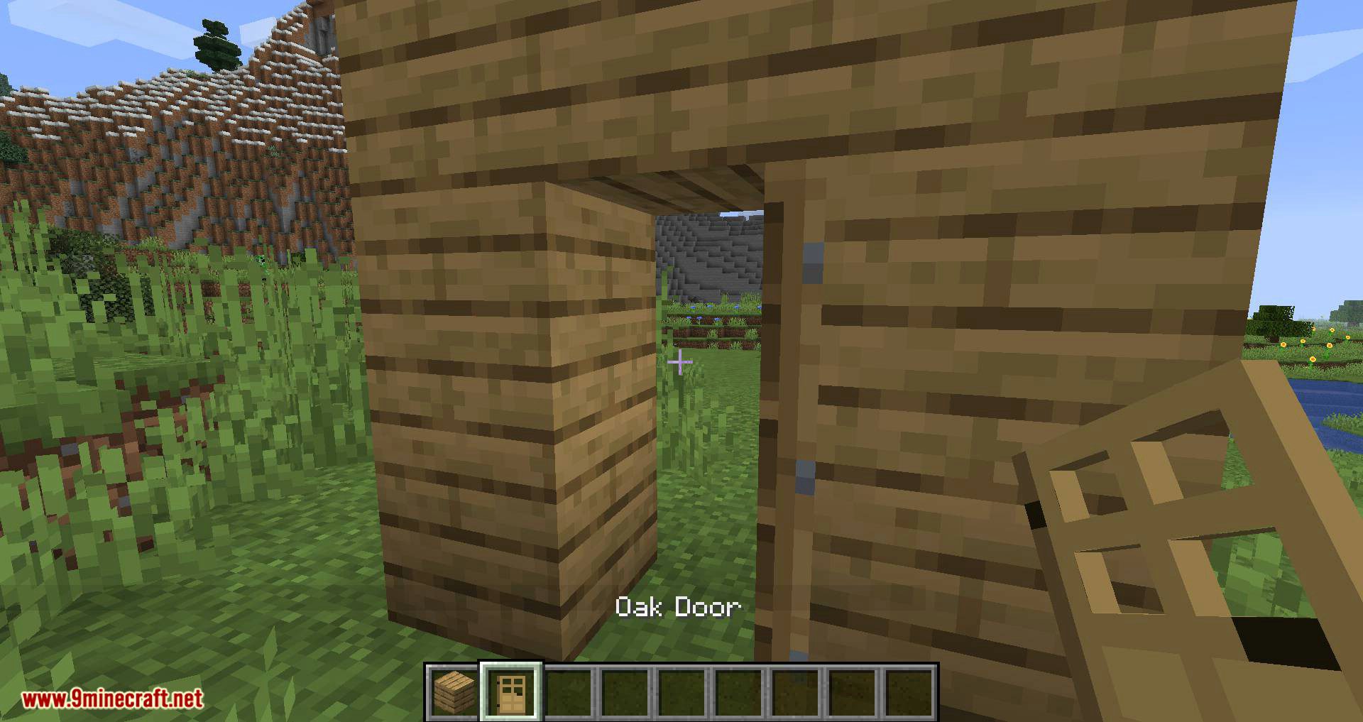 Double Doors Mod (1.20.4, 1.19.4) - Double Doors Opened Simultaneously 4