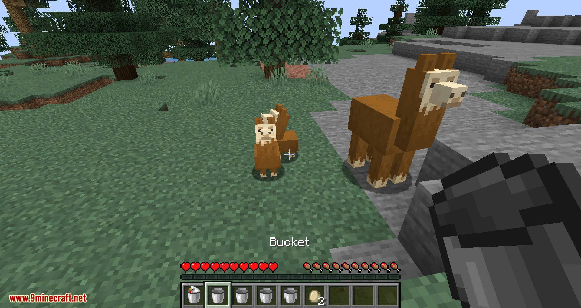 Get In The Bucket Mod (1.20, 1.19.3) - Put Mobs Into Buckets 4