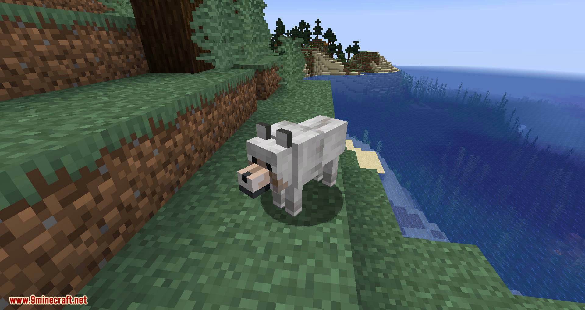 More Dogs Mod 1.15.2, 1.14.4 (More Dog Breeds to Minecraft) 7