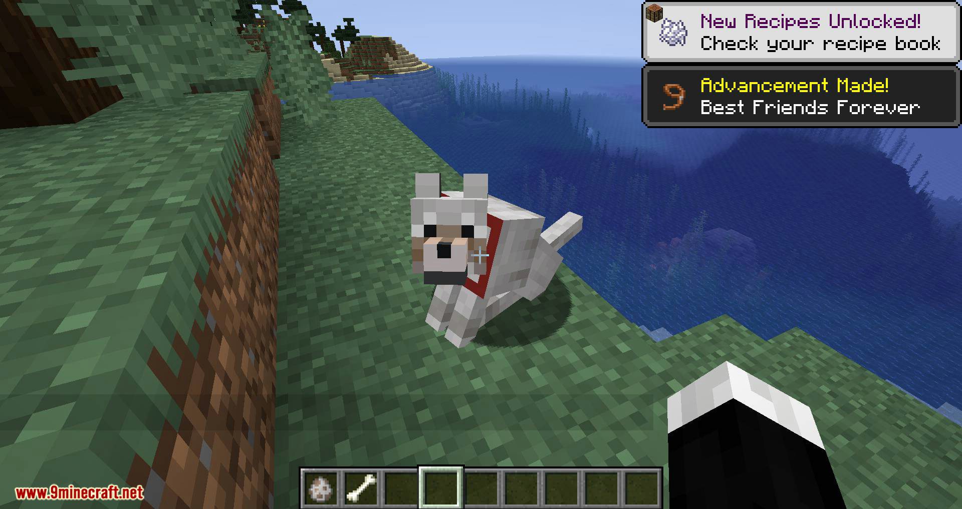 More Dogs Mod 1.15.2, 1.14.4 (More Dog Breeds to Minecraft) 8