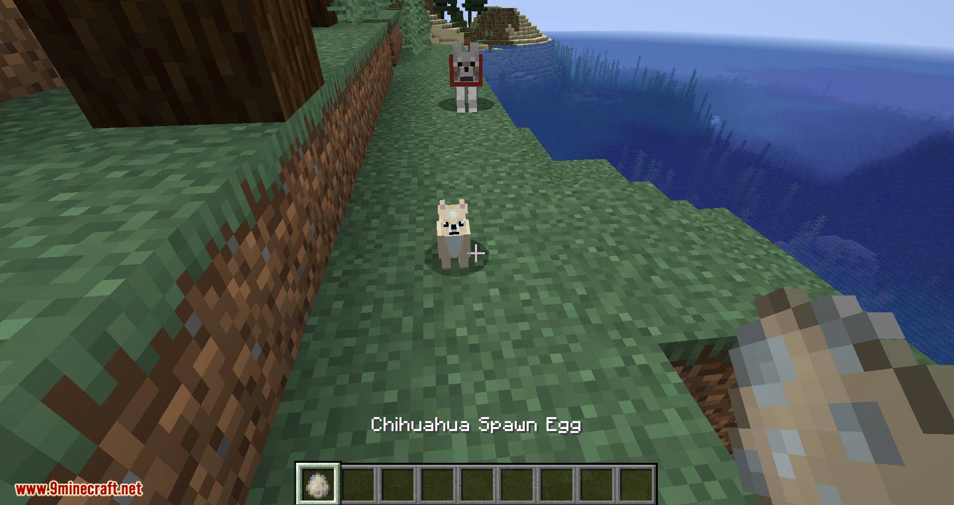 More Dogs Mod 1.15.2, 1.14.4 (More Dog Breeds to Minecraft) 9