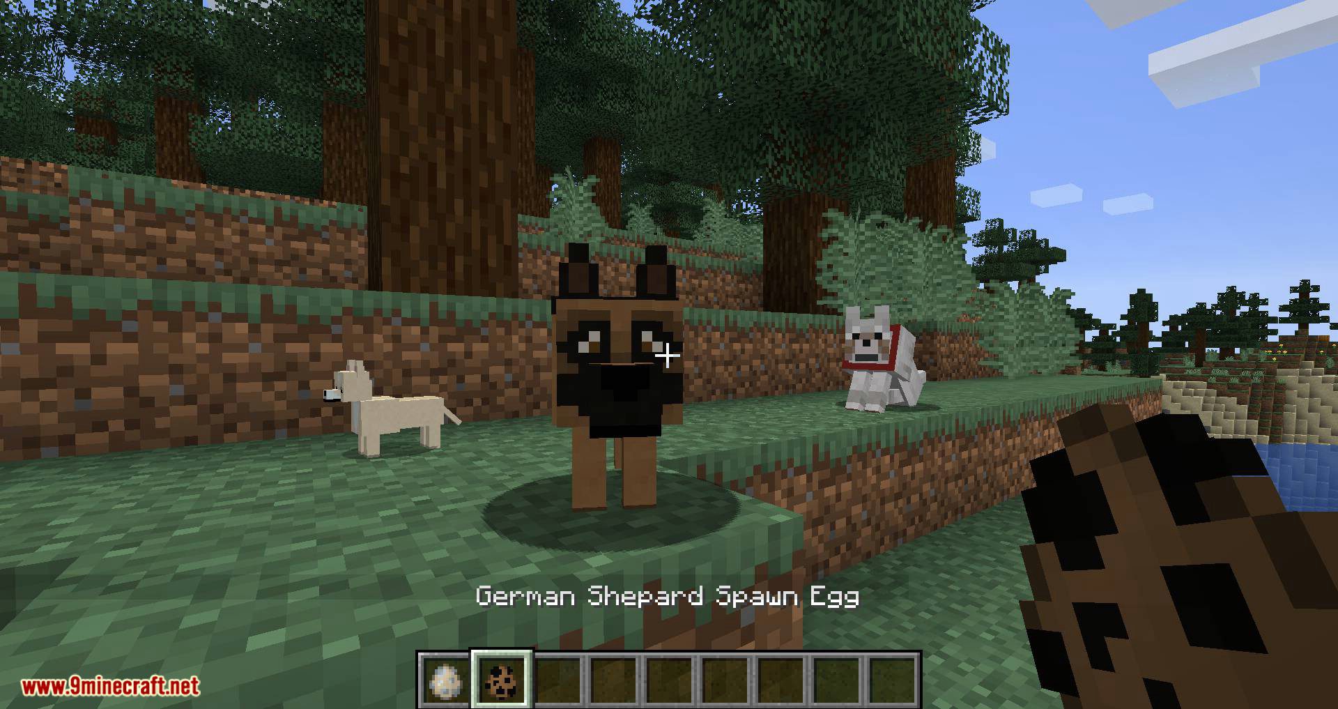 More Dogs Mod 1.15.2, 1.14.4 (More Dog Breeds to Minecraft) 10