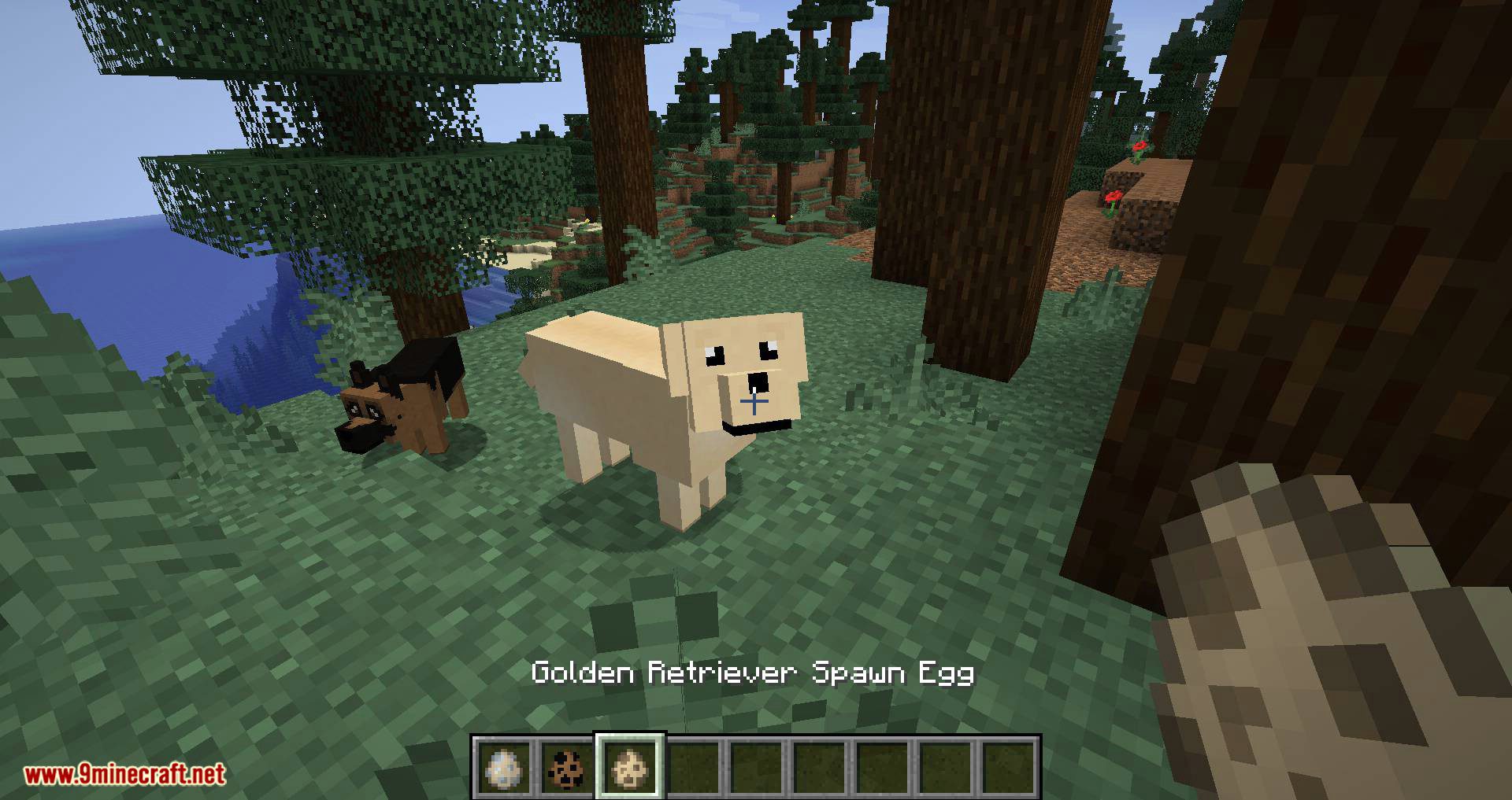 More Dogs Mod 1.15.2, 1.14.4 (More Dog Breeds to Minecraft) 11